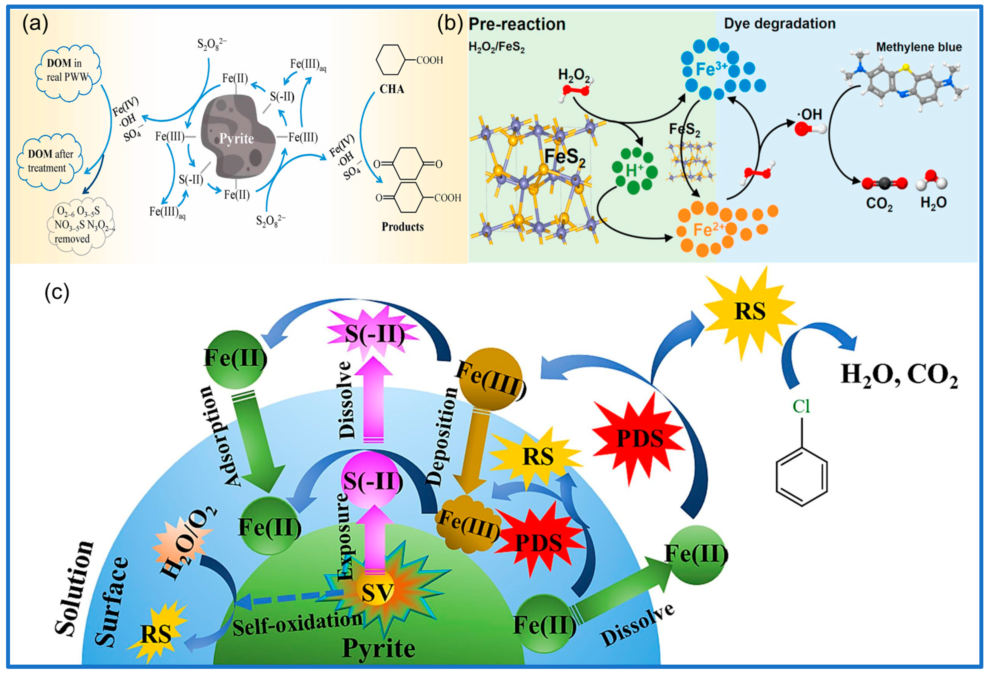 Minerals 15 00318 g005