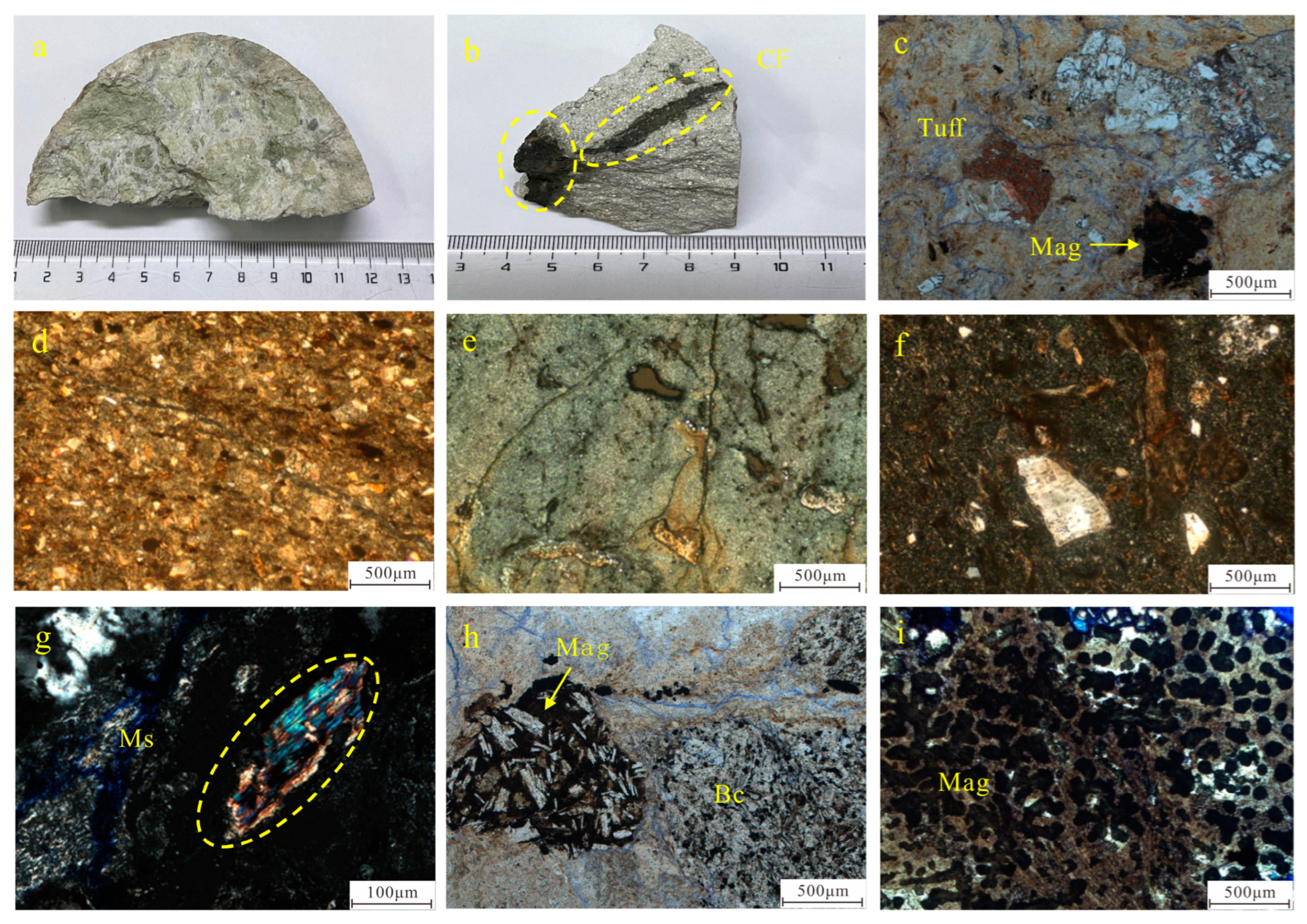 Minerals 15 00319 g002