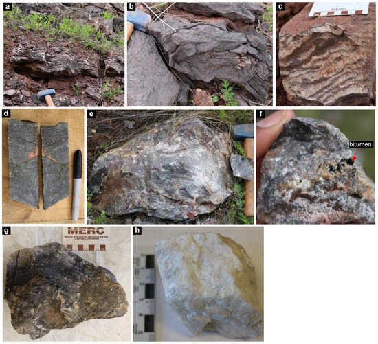 Origin of Siderite and Baryte in a Carbonate-Replacement Ag-Pb-Zn-Cu Sulphide Deposit: Walton, Nova Scotia, Canada