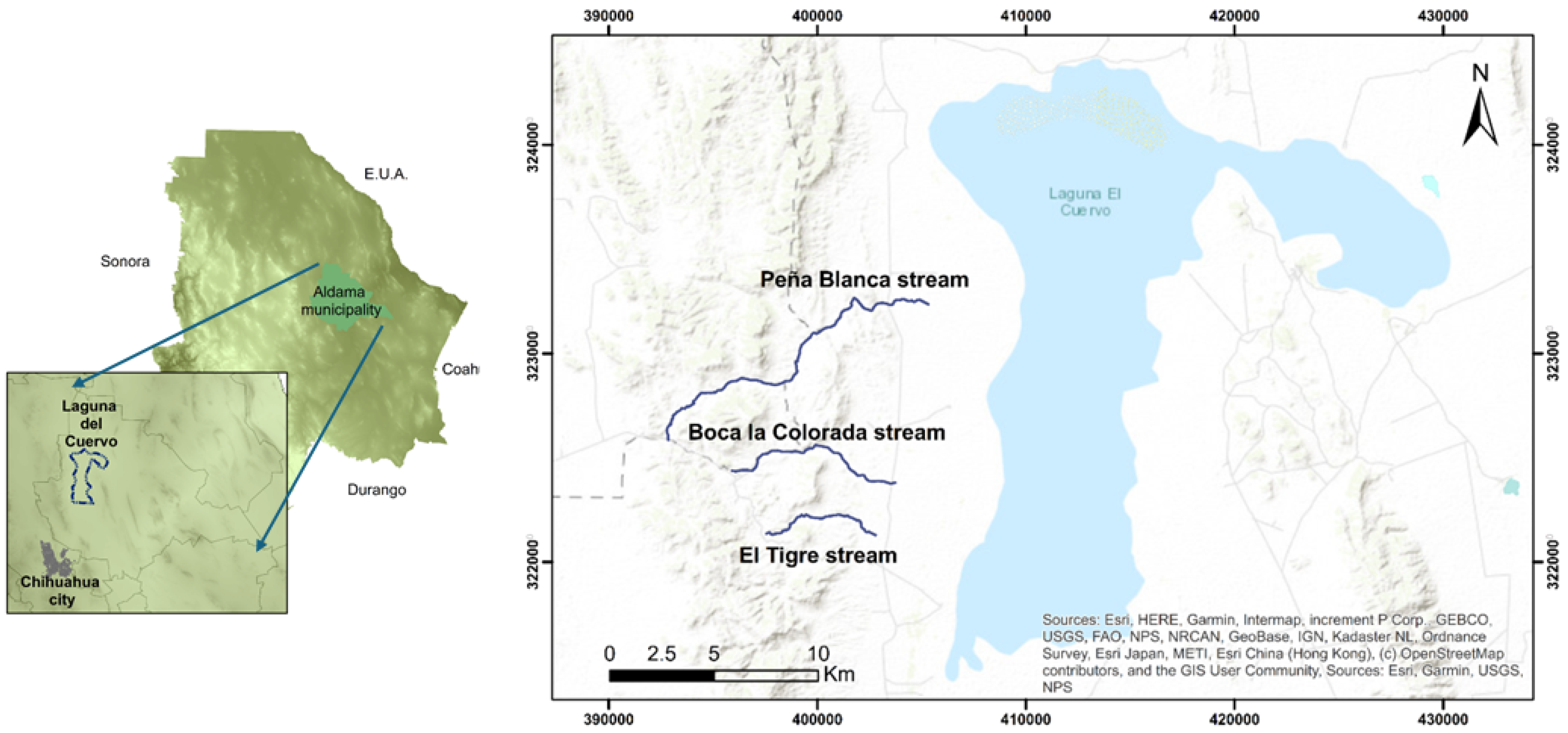 Minerals 15 00333 g001