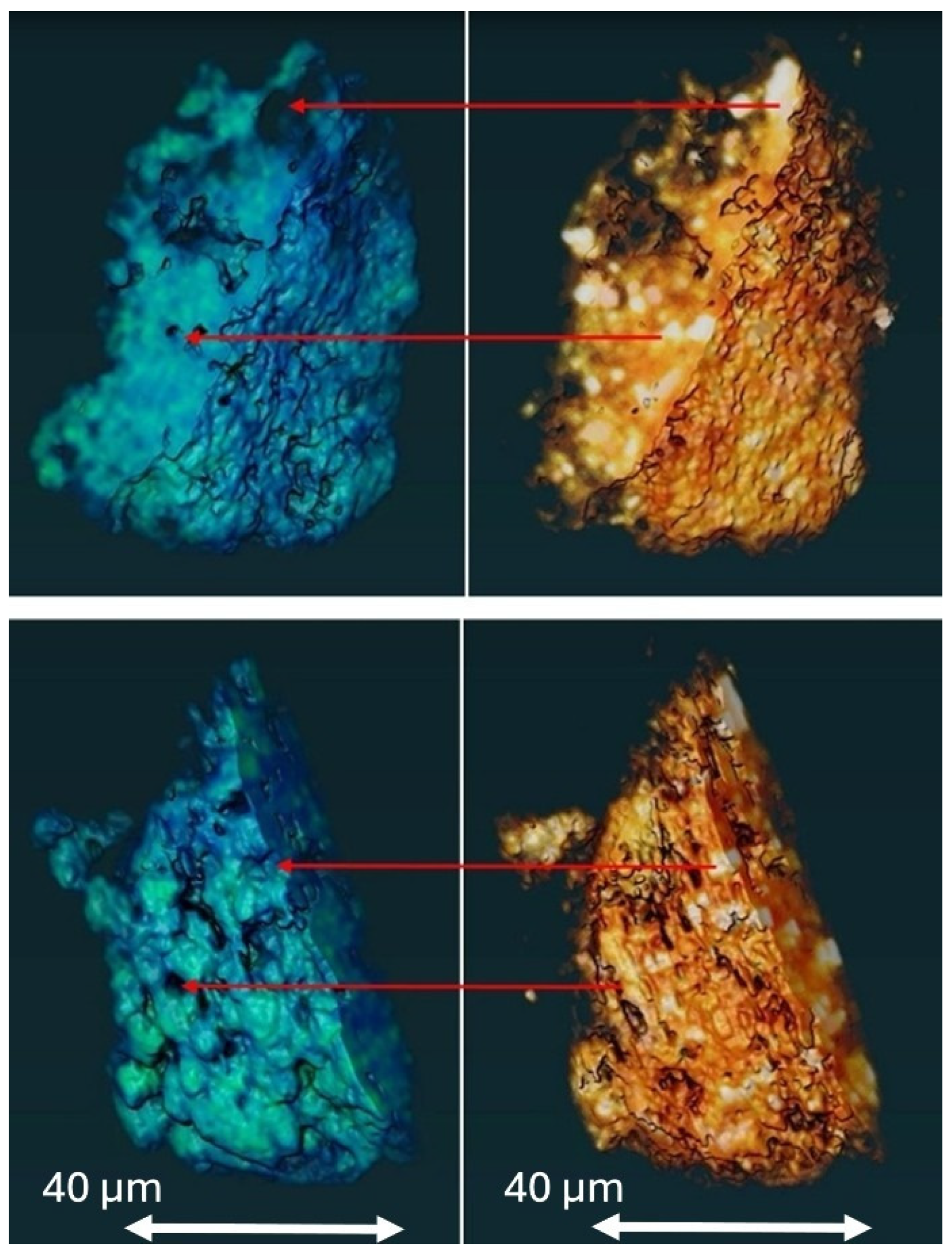 Minerals 15 00333 g014
