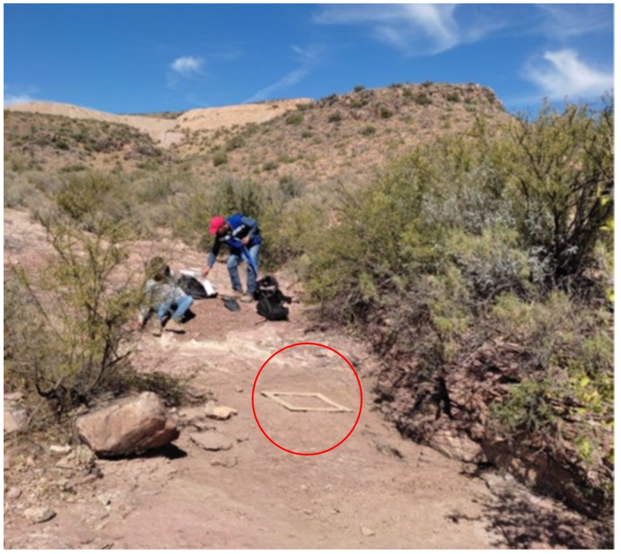 Minerals 15 00333 g0a1