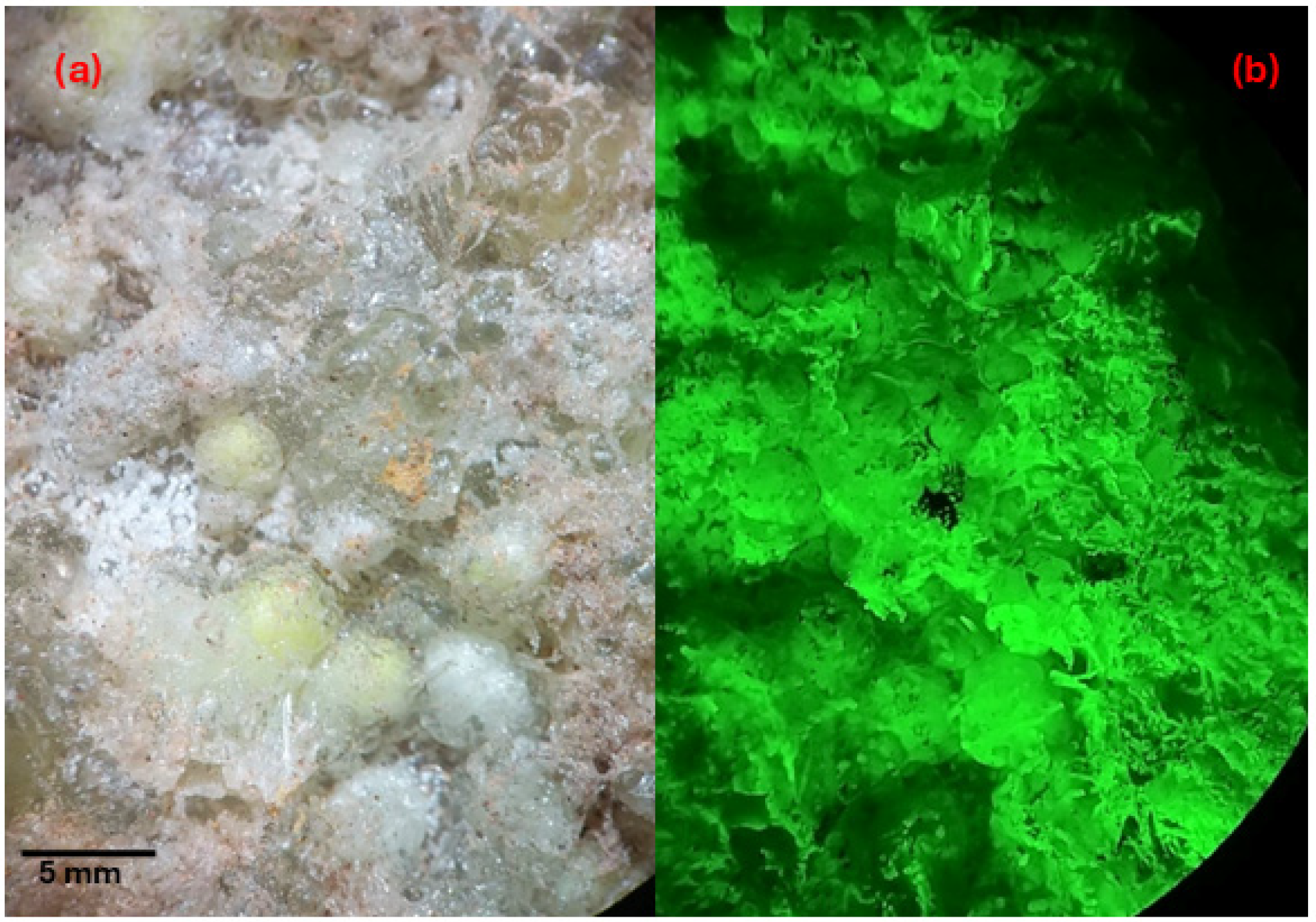 Minerals 15 00333 g0a2