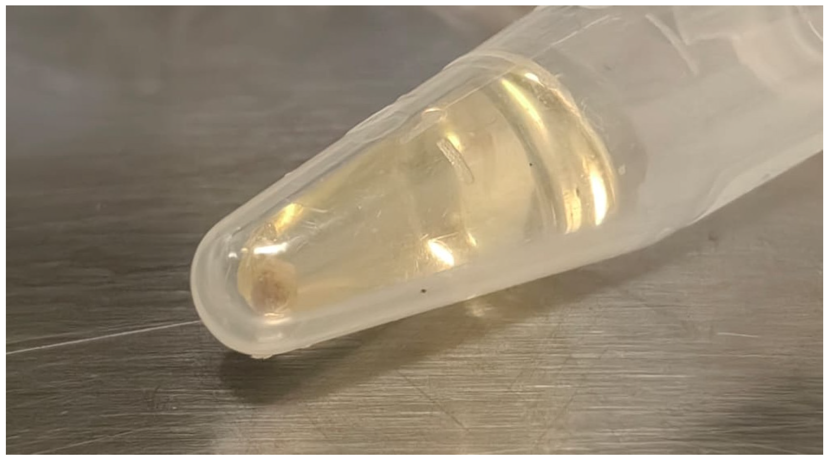 Minerals 15 00333 g0a4