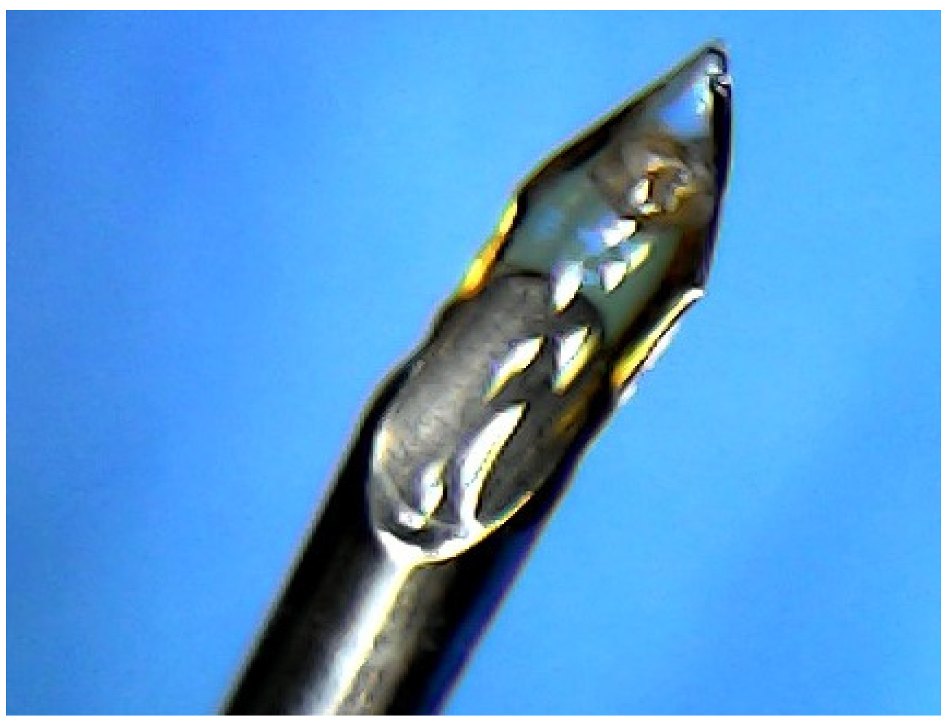 Minerals 15 00333 g0a6