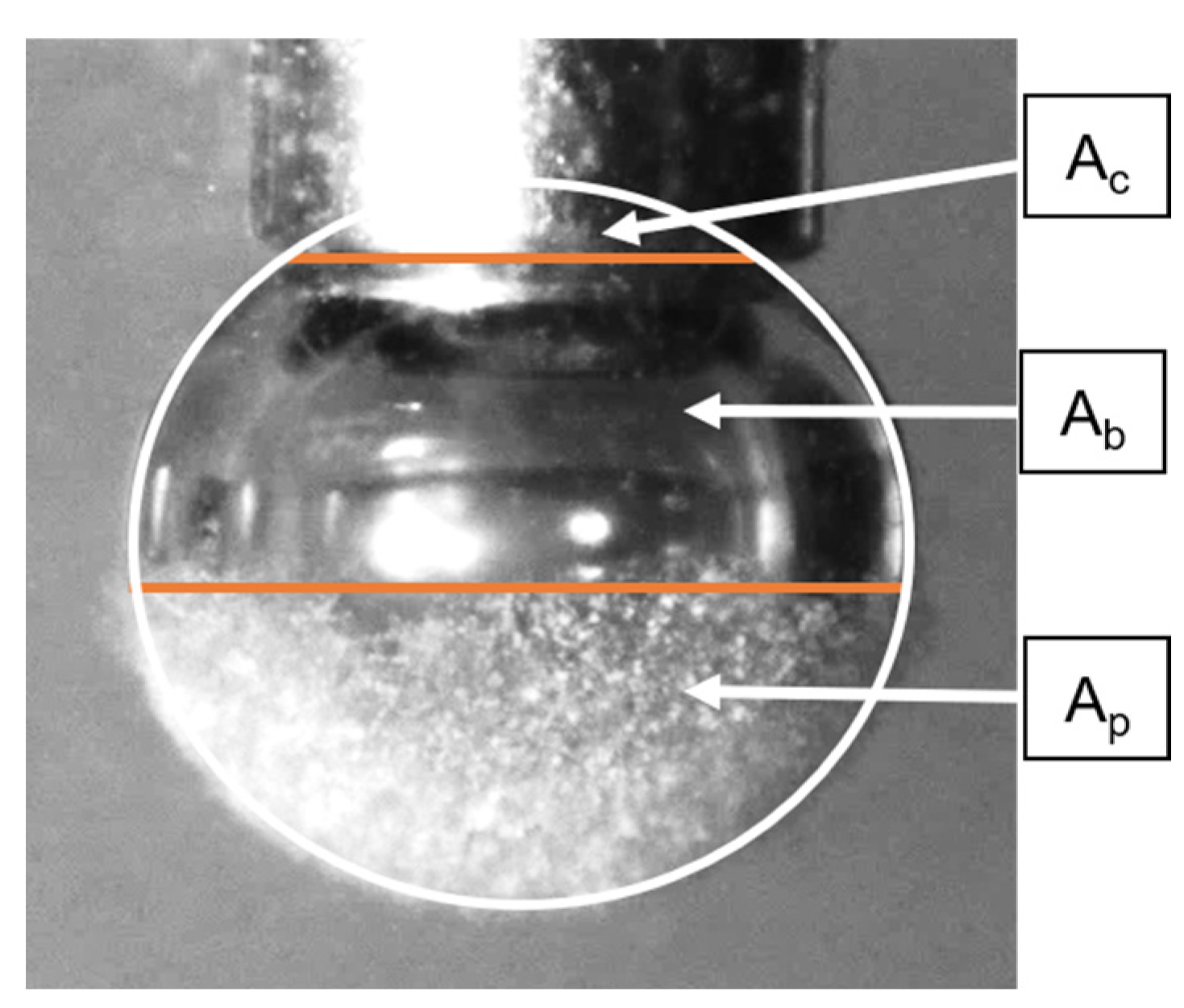 Minerals 15 00334 g003