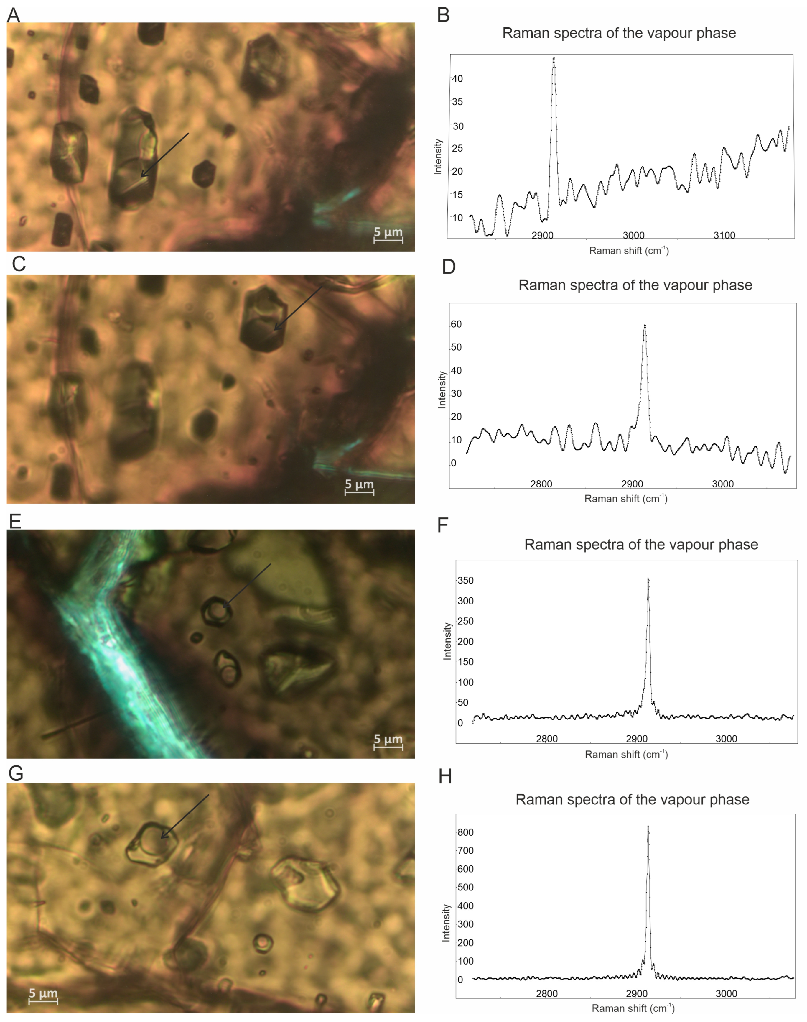 Minerals 15 00335 g007