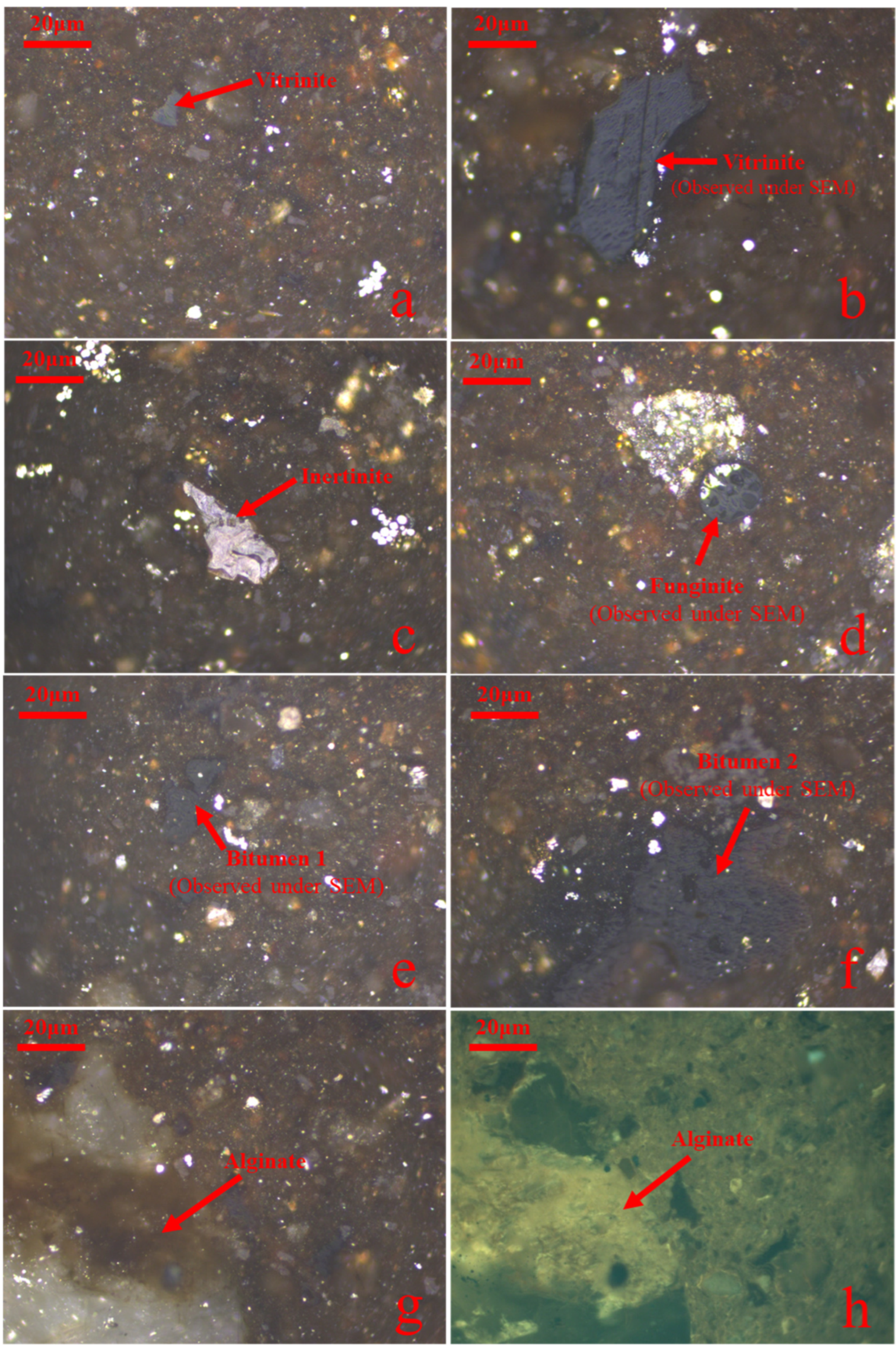 Minerals 15 00336 g004