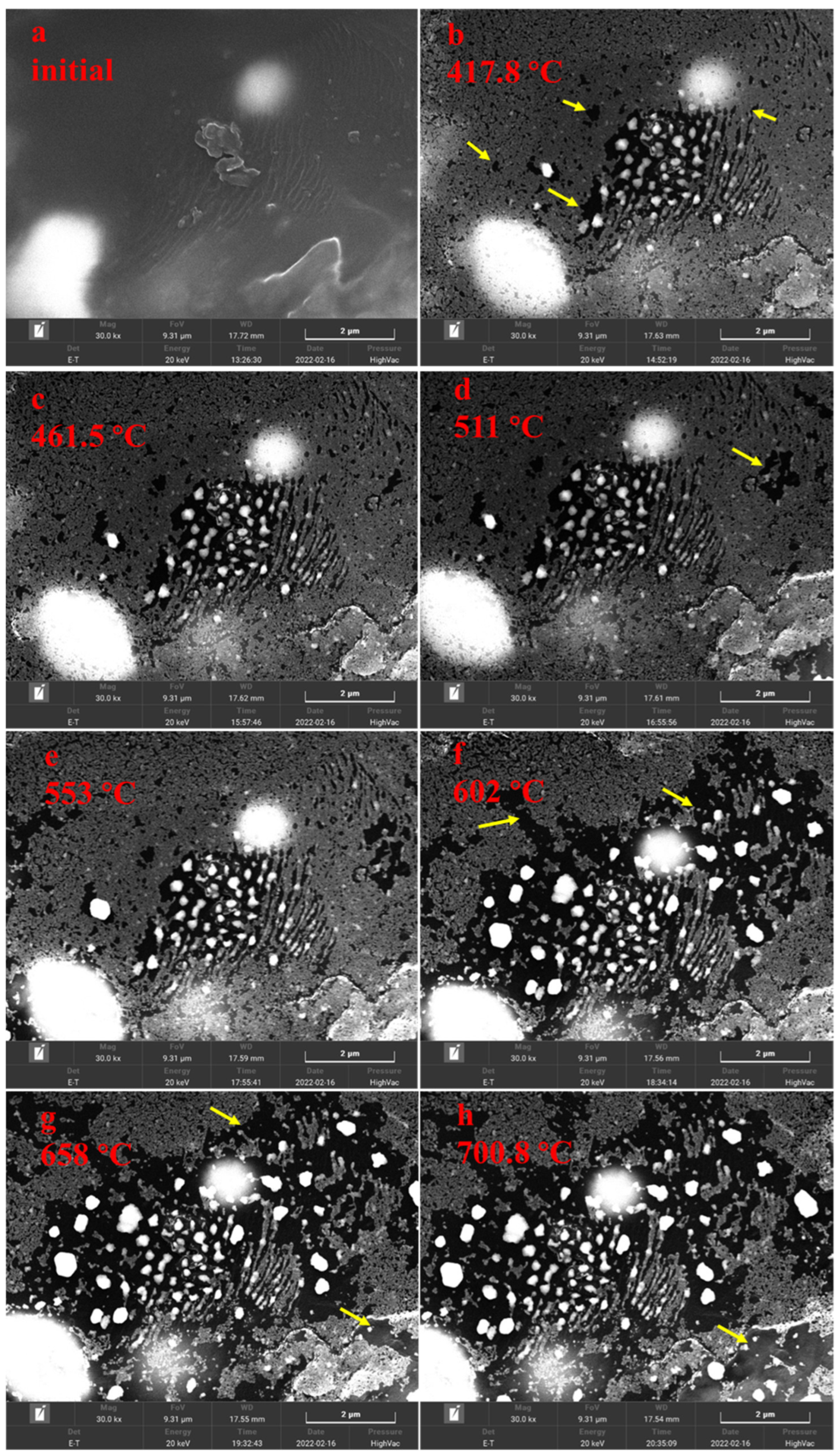 Minerals 15 00336 g005