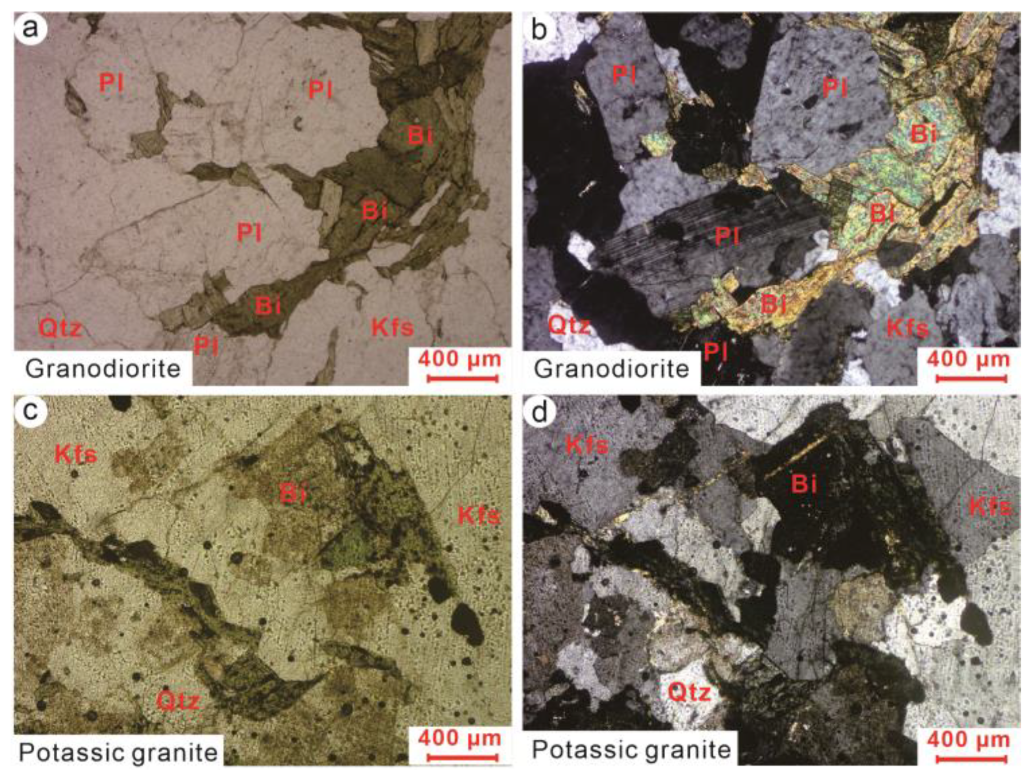 Minerals 15 00352 g004