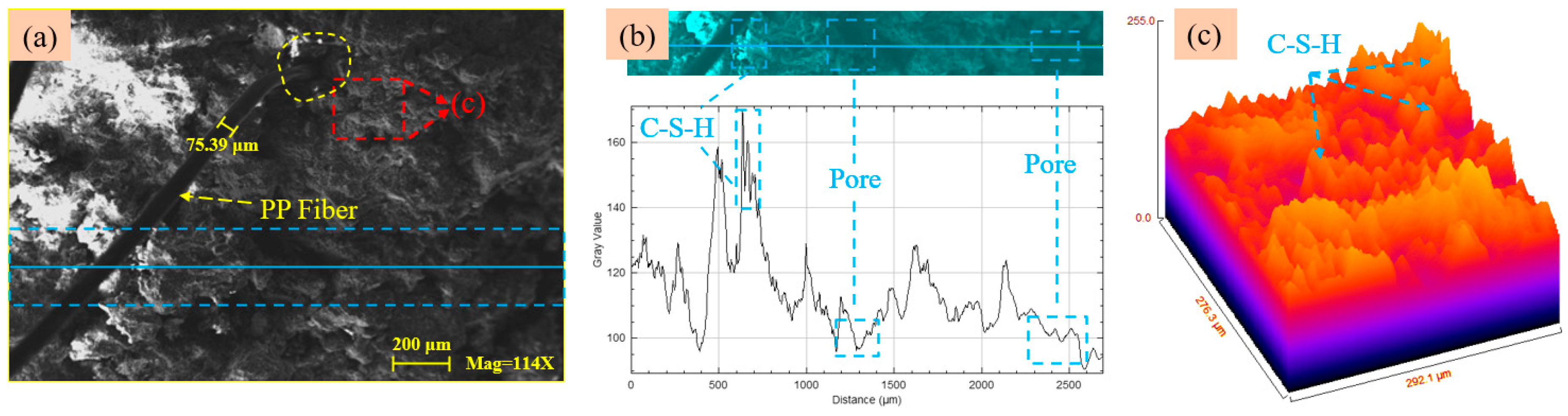 Minerals 15 00354 g020