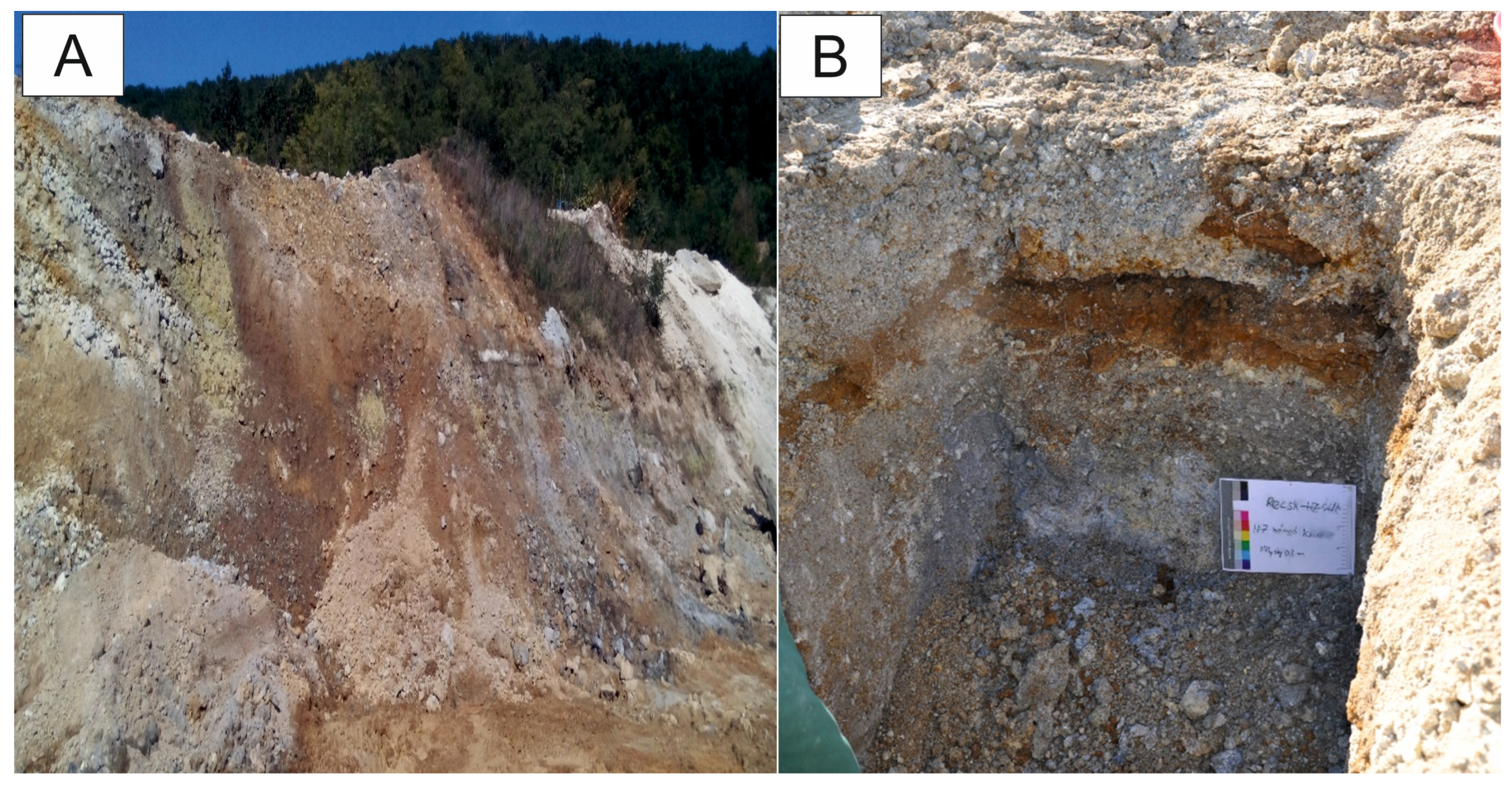 Minerals 15 00360 g004