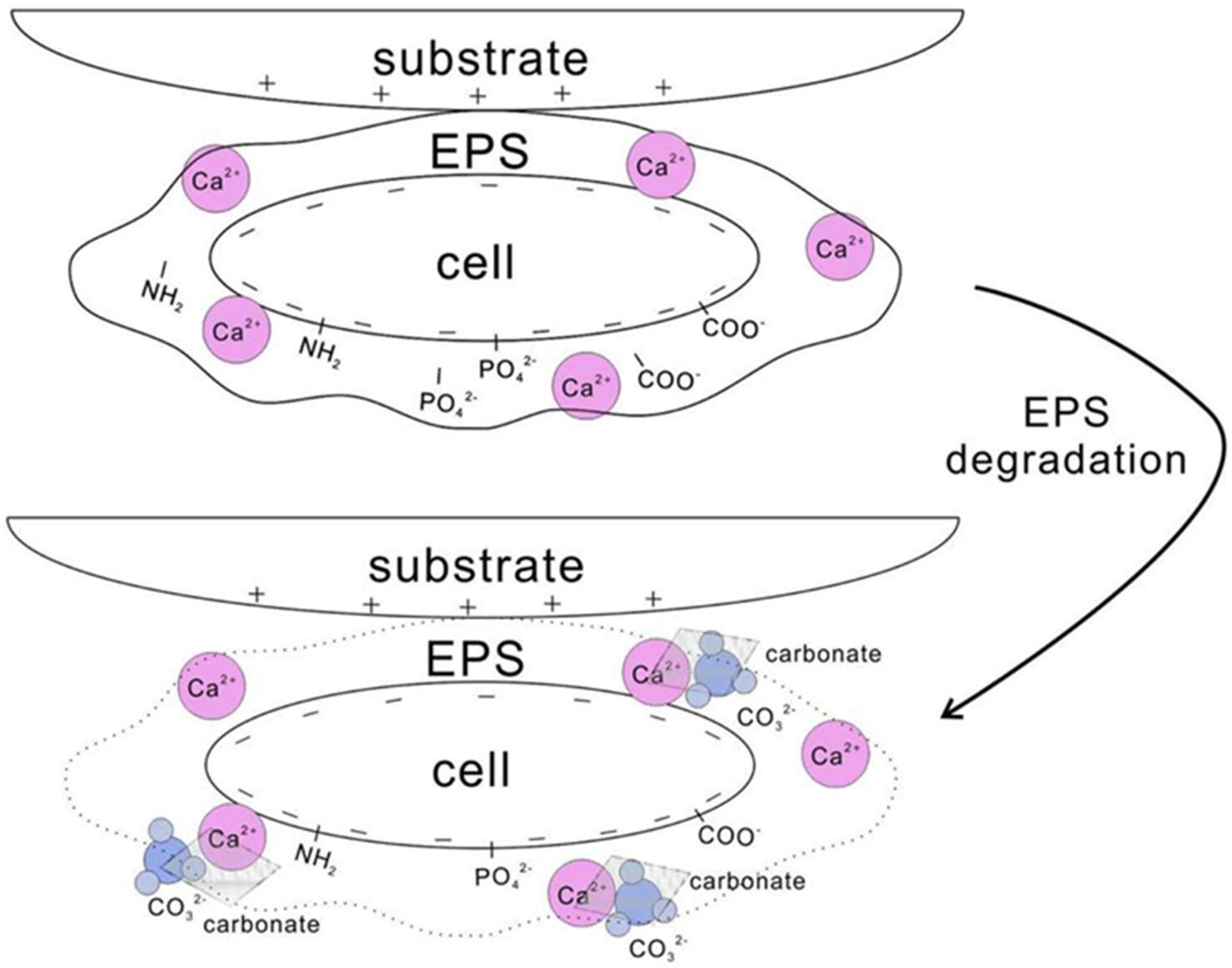 Minerals 15 00361 g001