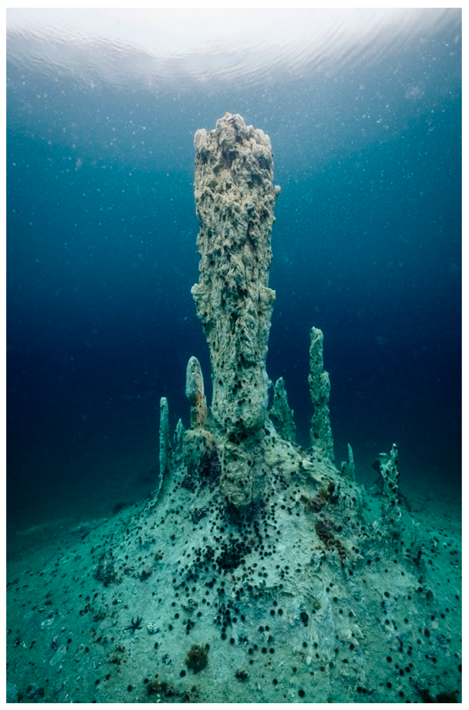 Minerals 15 00373 g003