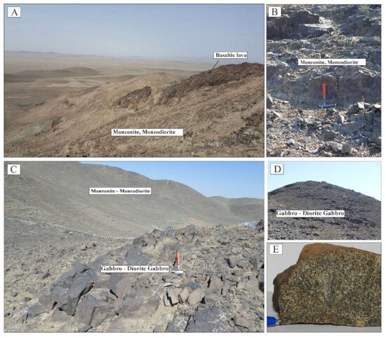 Unraveling the Protracted Magmatic Evolution in the Central