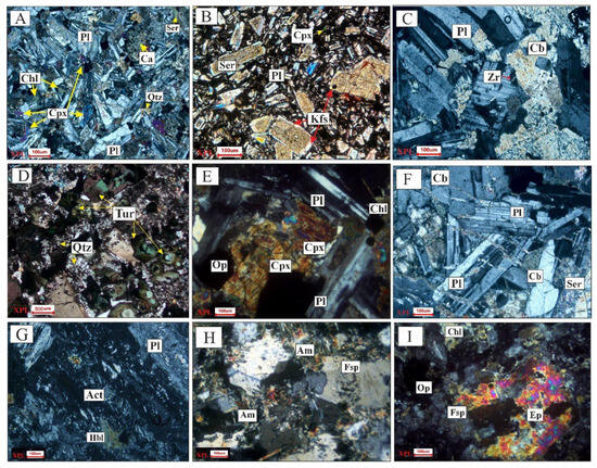 Unraveling the Protracted Magmatic Evolution in the Central