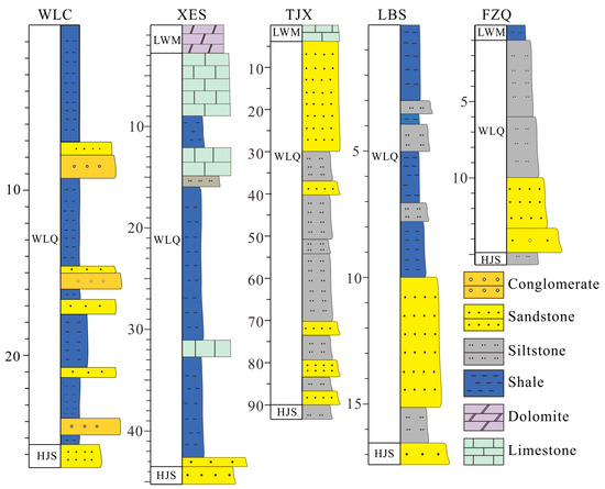 Geochemical Insights into the Cambrian Wulongqing Formation