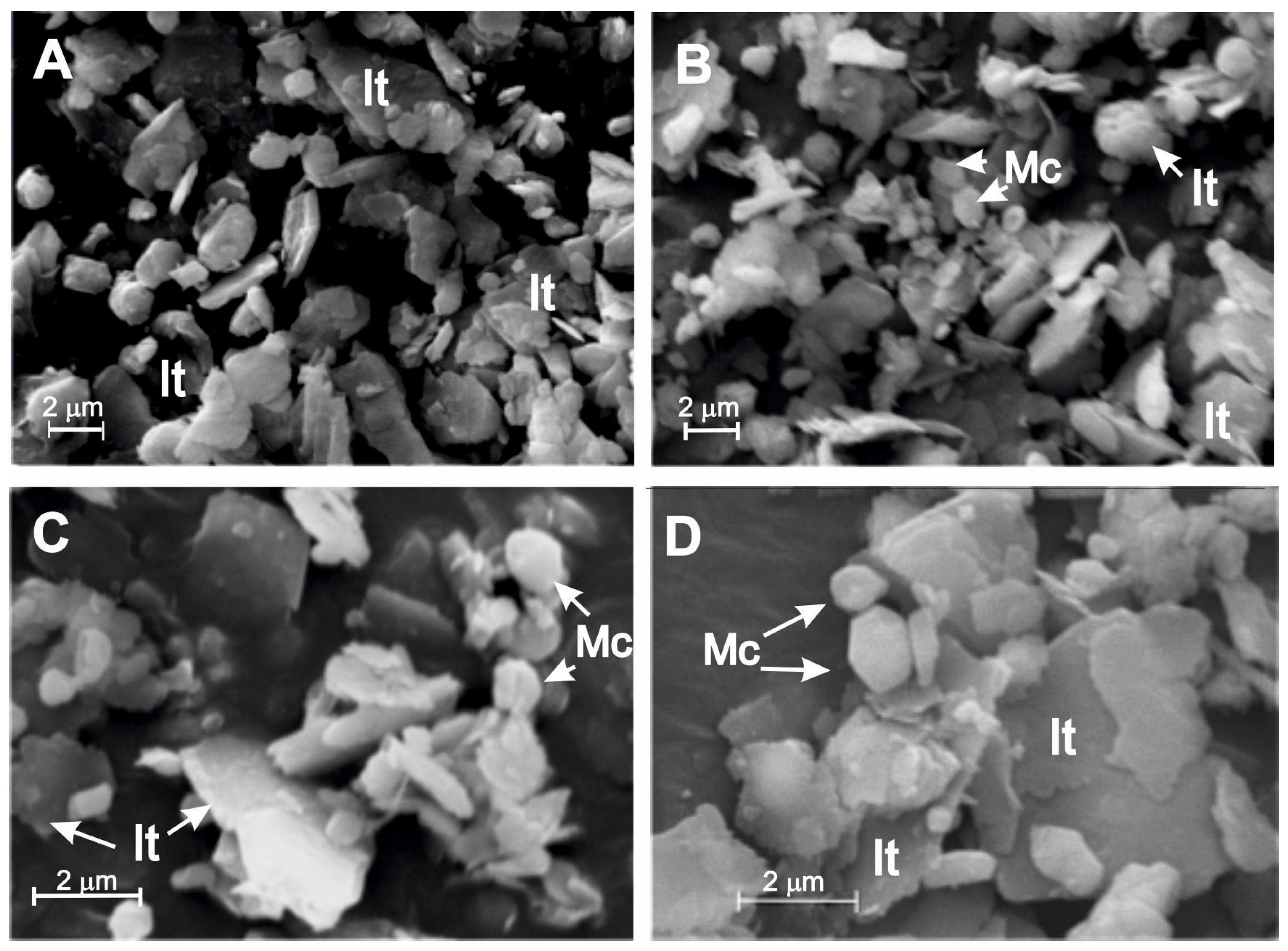 Minerals 15 00395 g012 Minerals 15 00395 g012