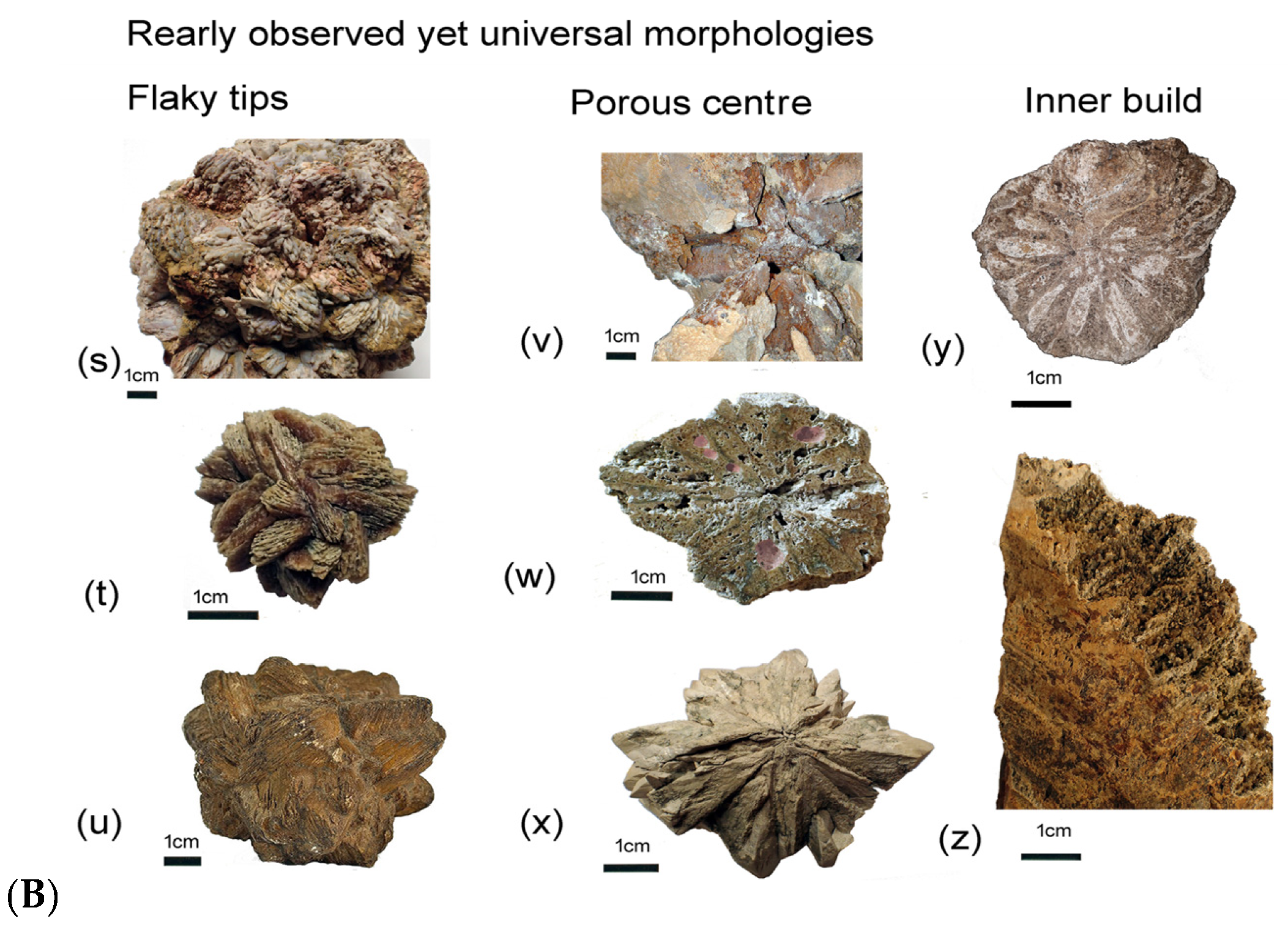 Minerals 15 00410 g004b Minerals 15 00410 g004b