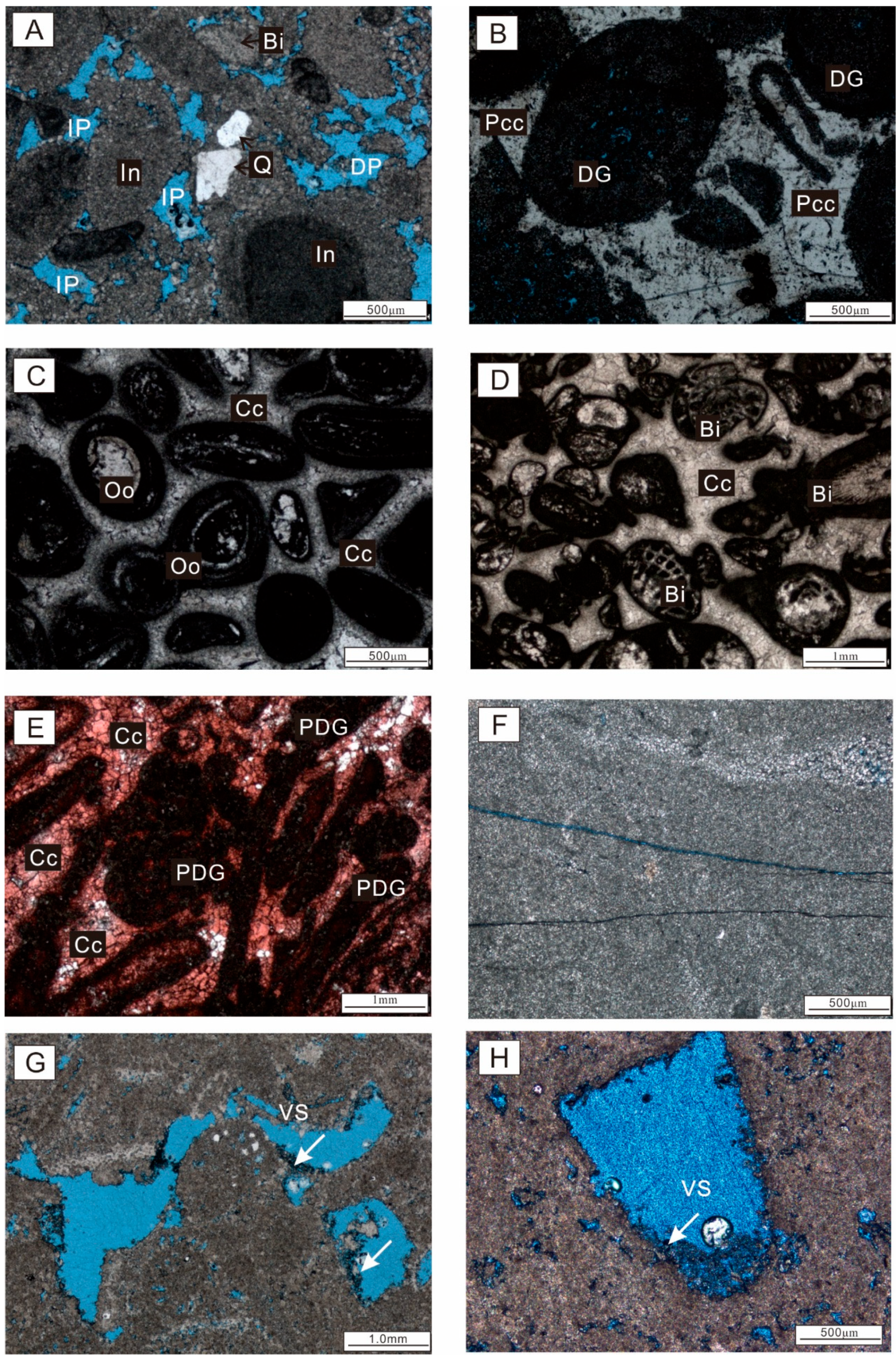 Minerals 15 00419 g003