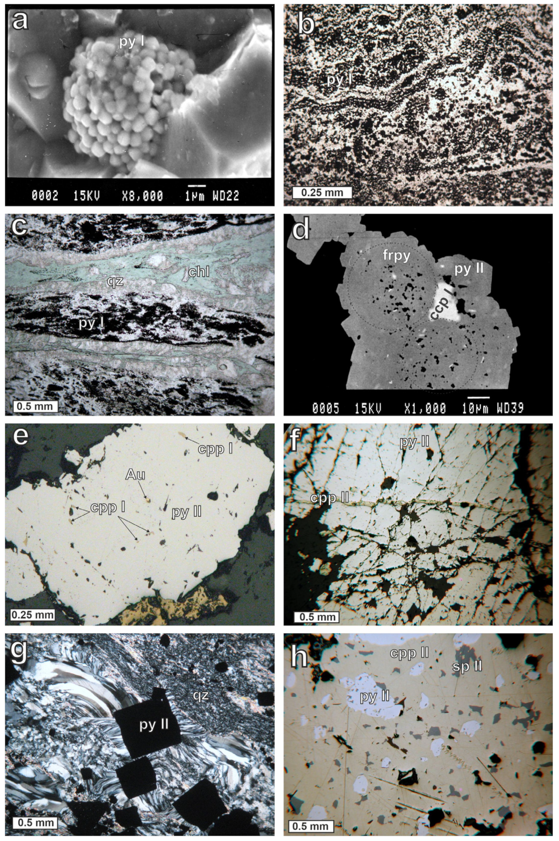 Minerals 15 00420 g007