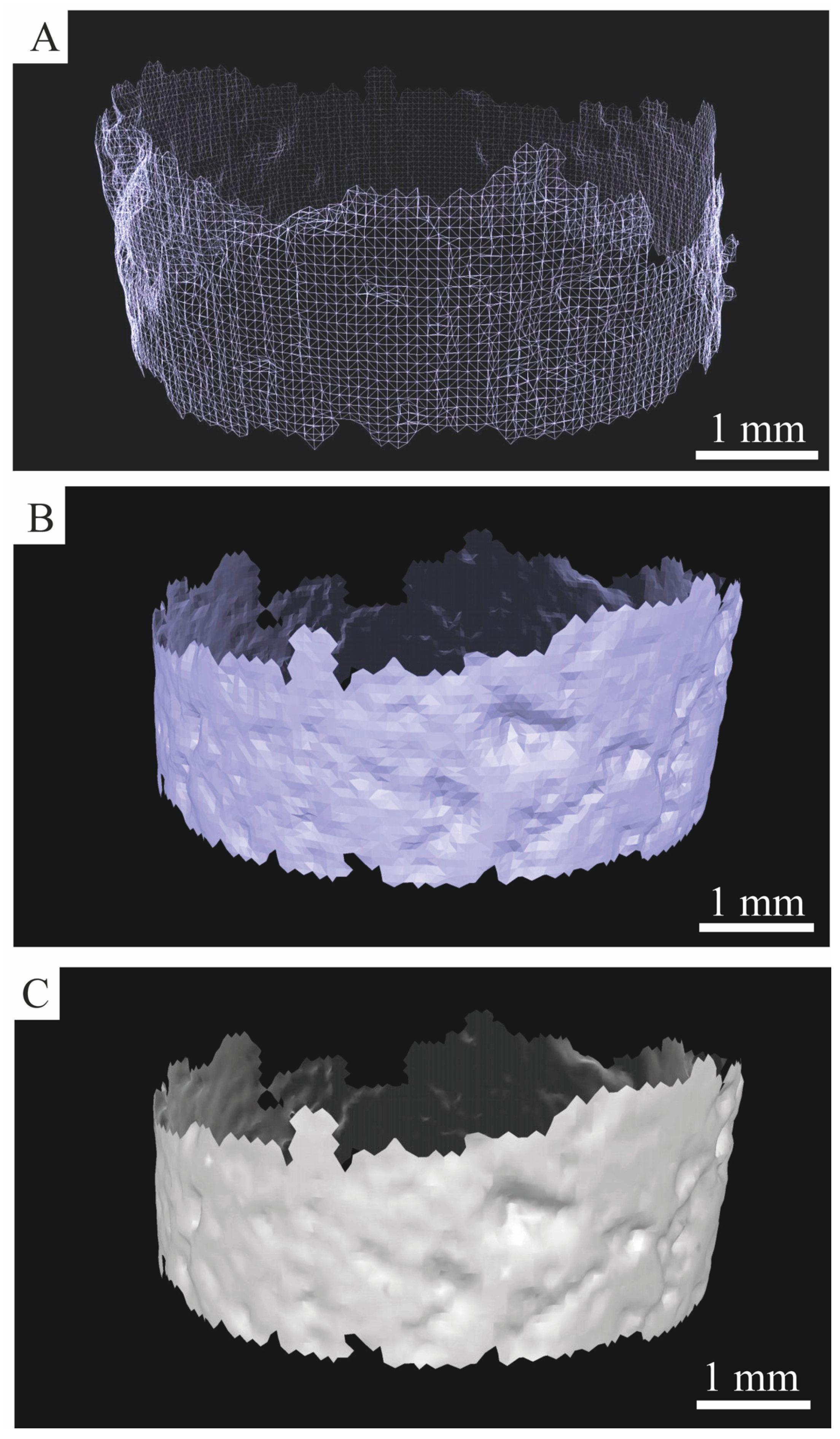 Minerals 15 00421 g004