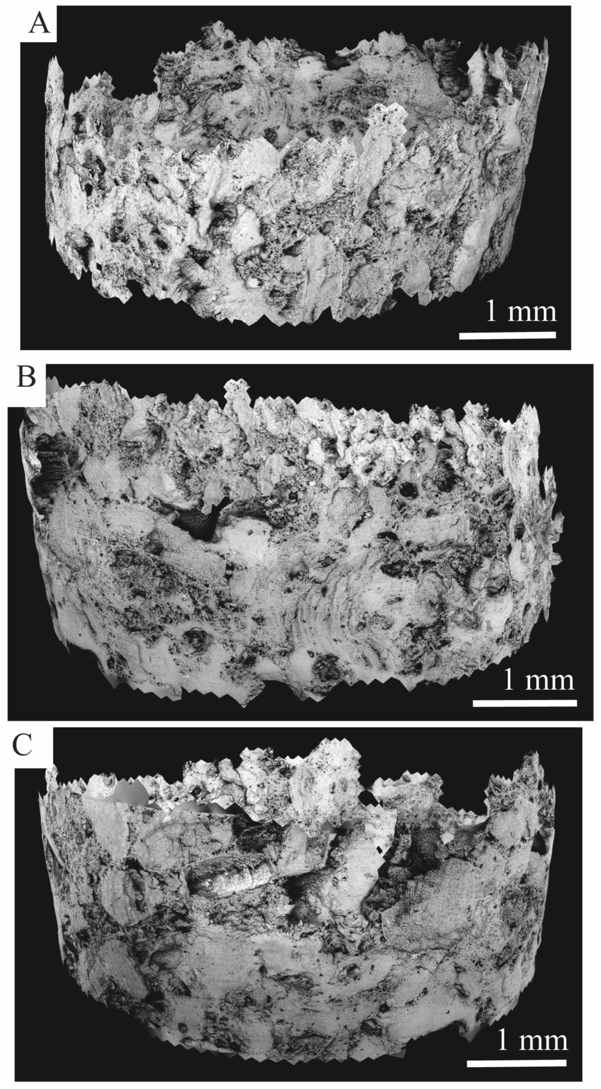 Minerals 15 00421 g006