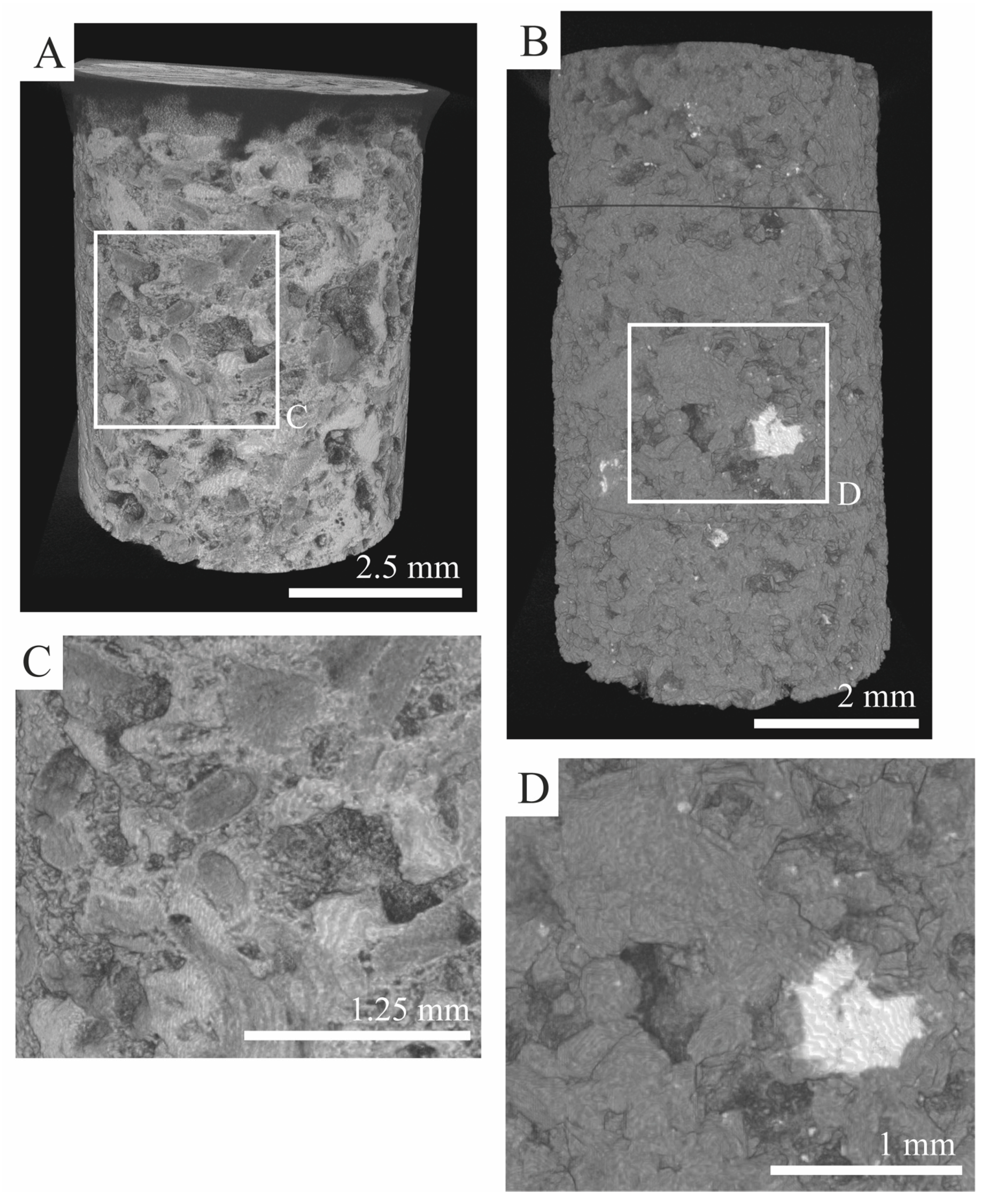 Minerals 15 00421 g010