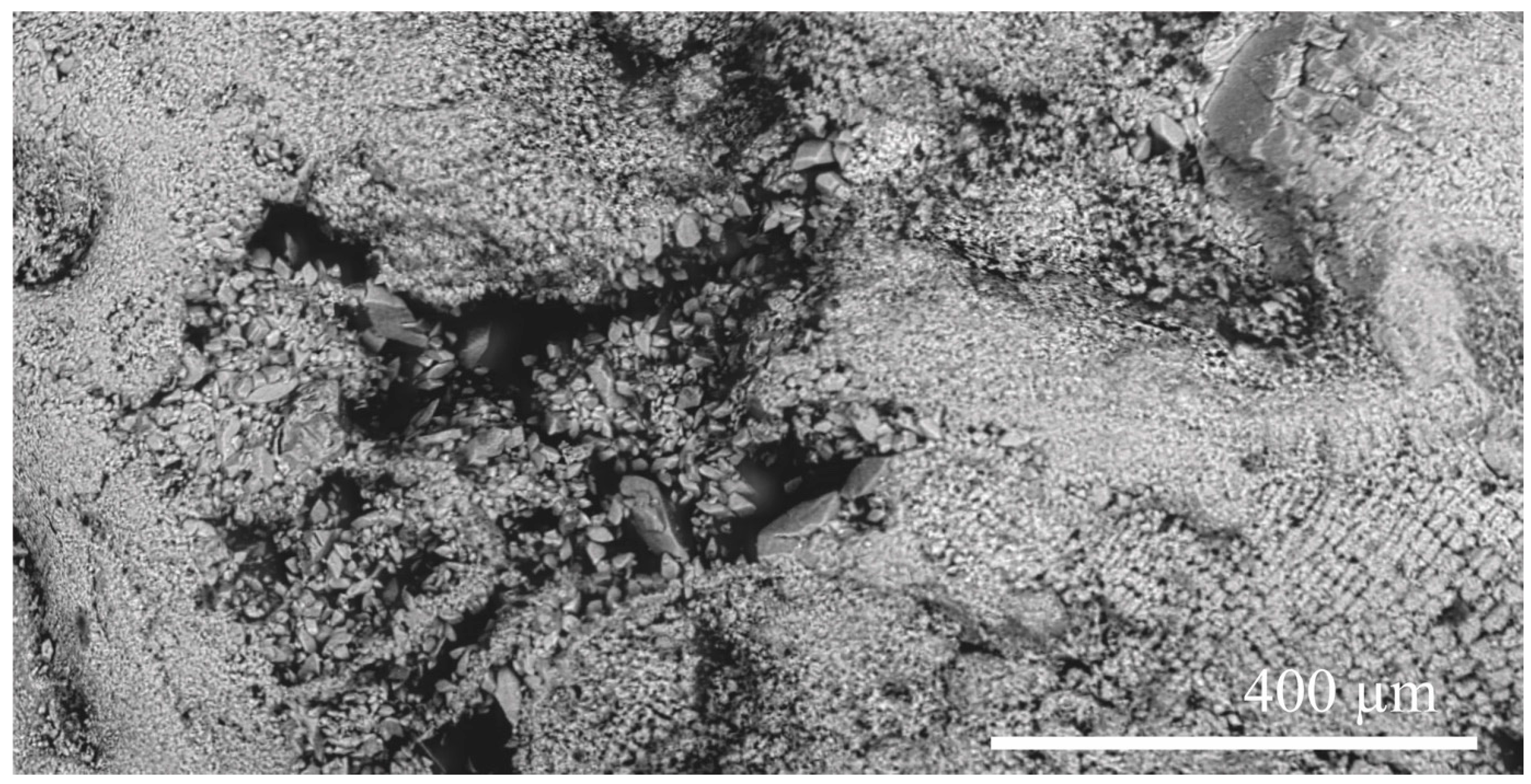 Minerals 15 00421 g011