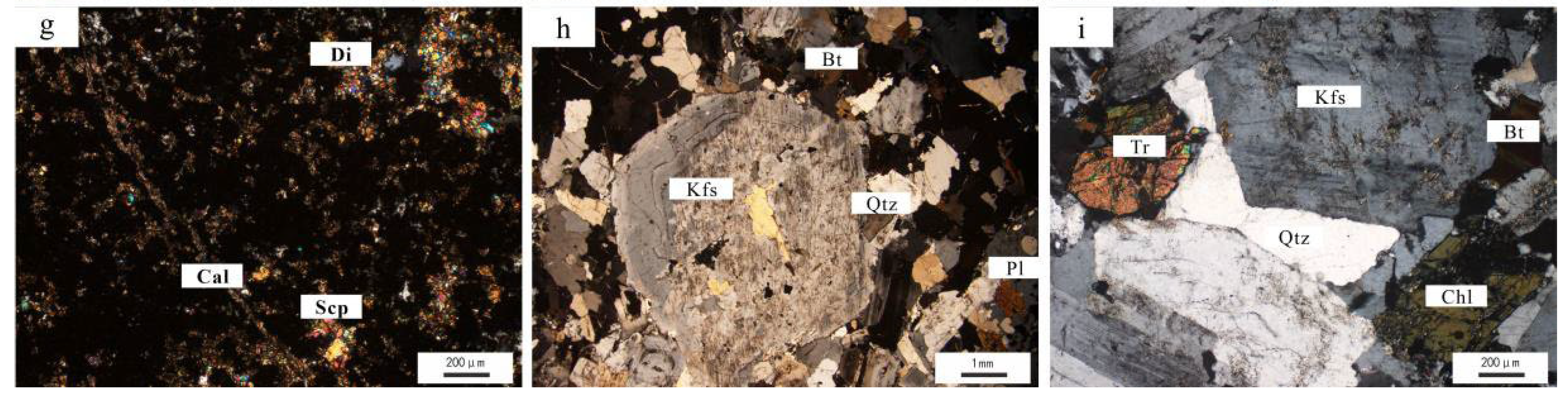 Minerals 15 00441 g004b