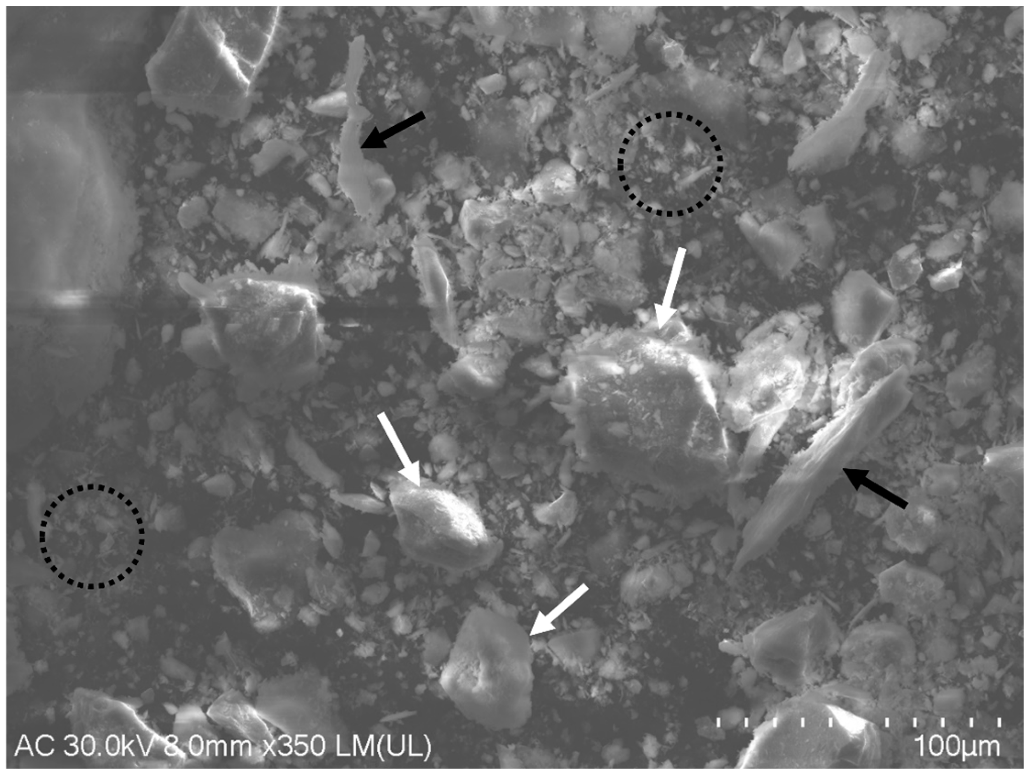 Minerals 15 00444 g002