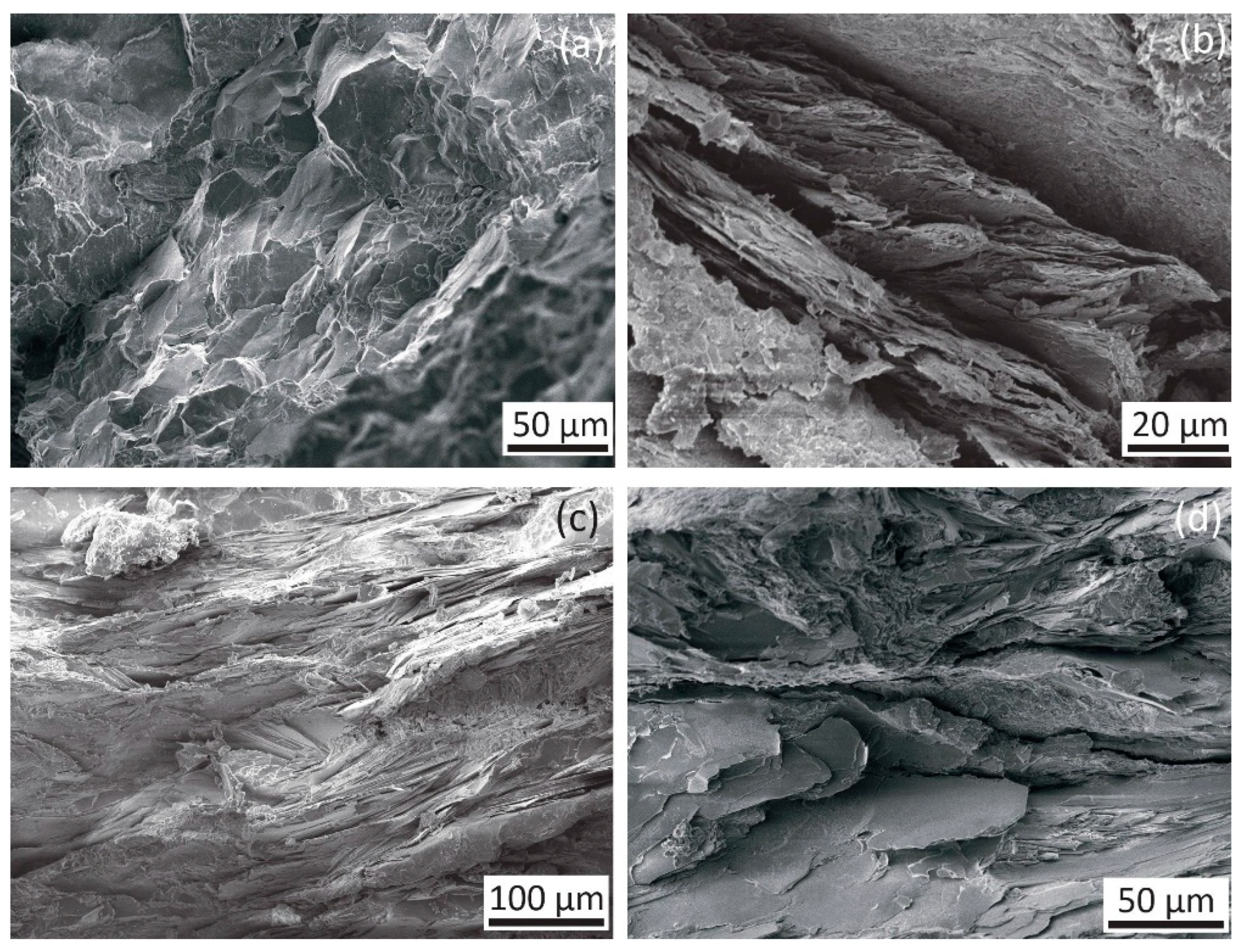 Minerals 15 00455 g005