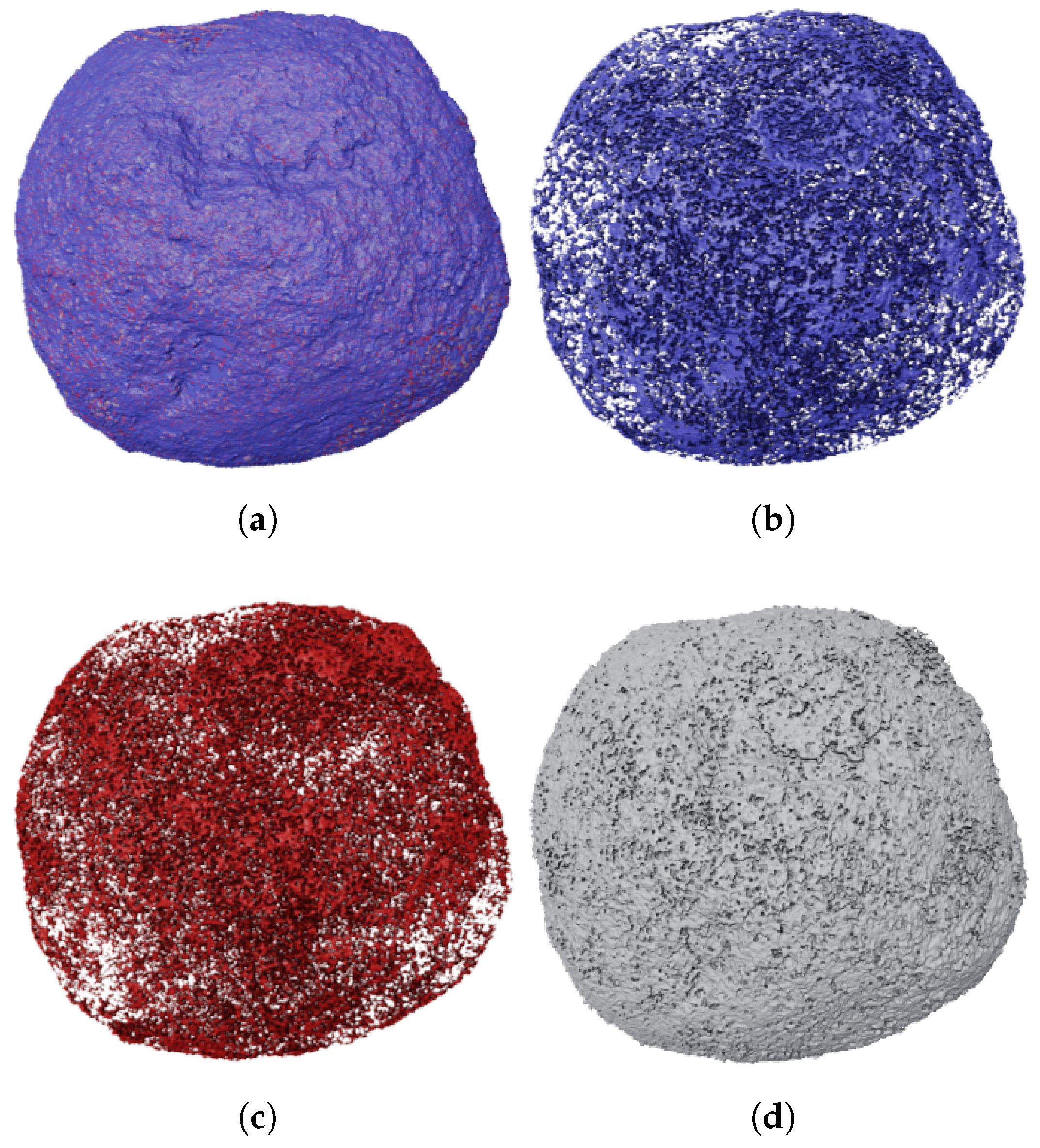 Minerals 15 00460 g010