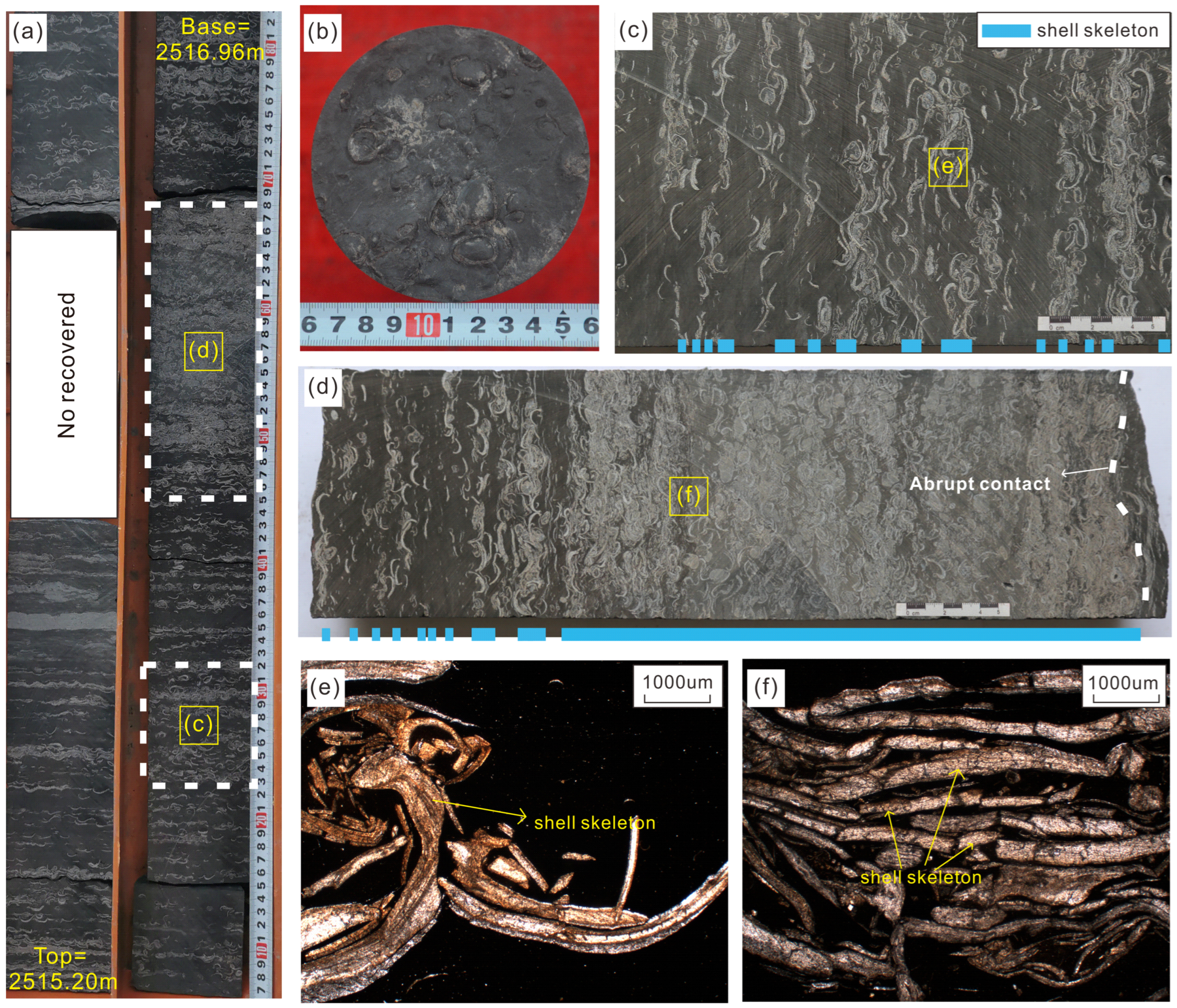 Minerals 15 00473 g002