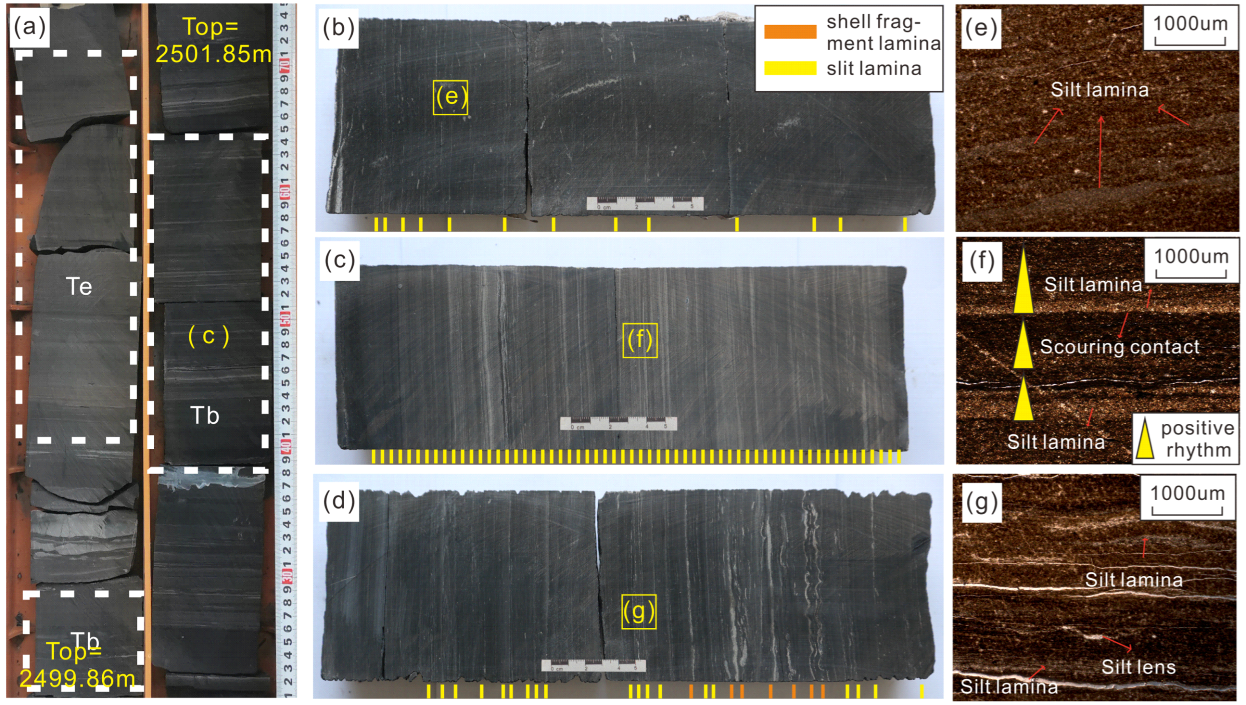 Minerals 15 00473 g004