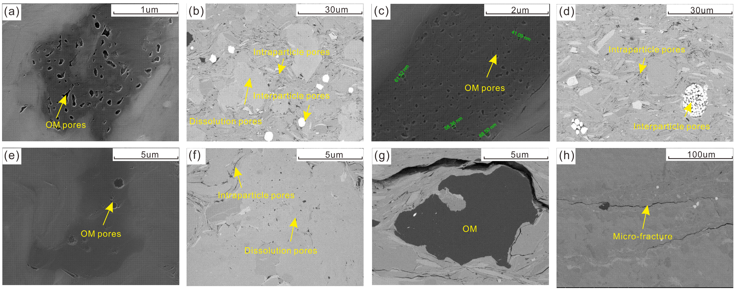 Minerals 15 00473 g010