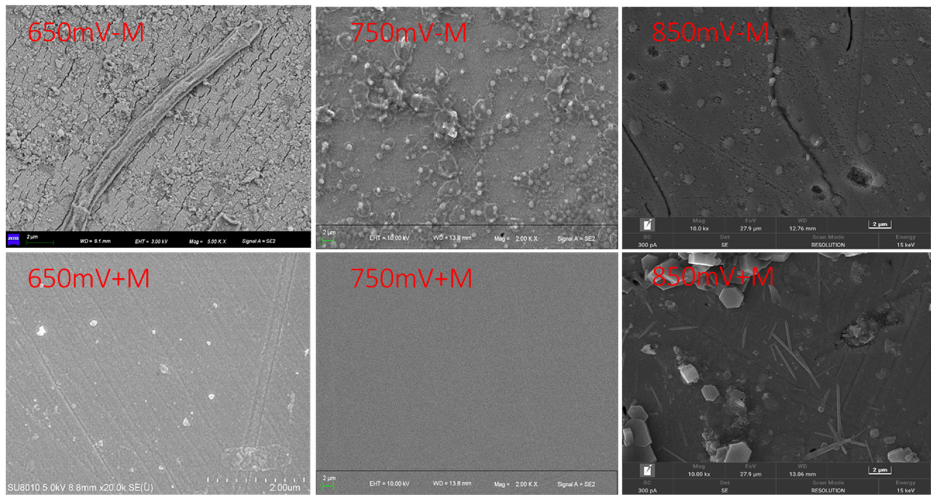 Minerals 15 00480 g003
