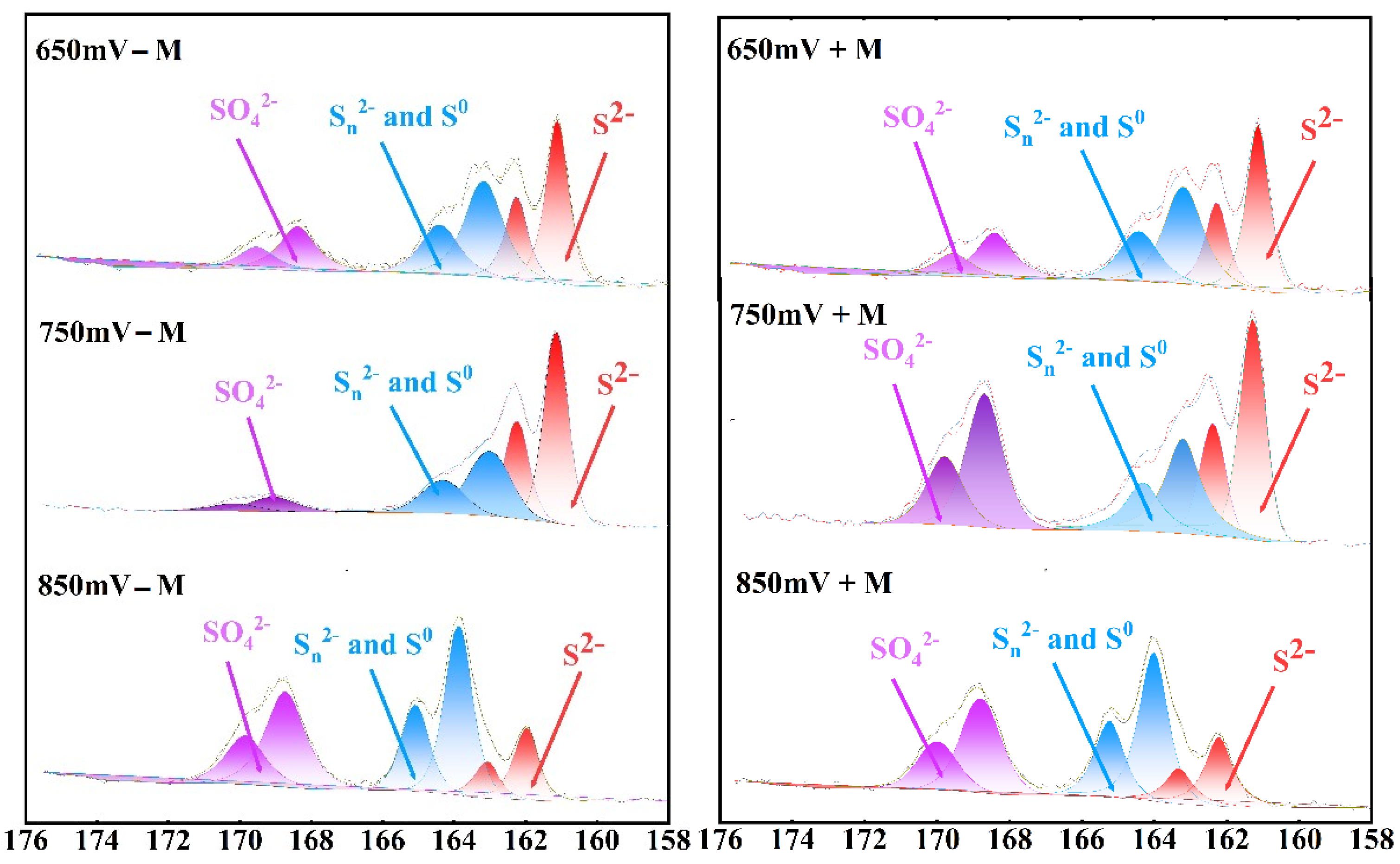 Minerals 15 00480 g005