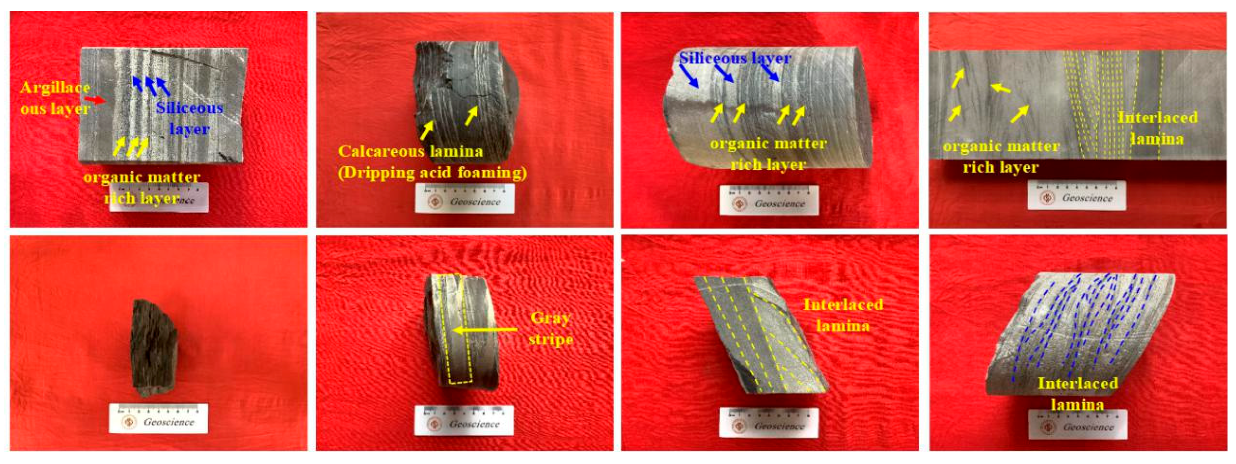 Minerals 15 00484 g004