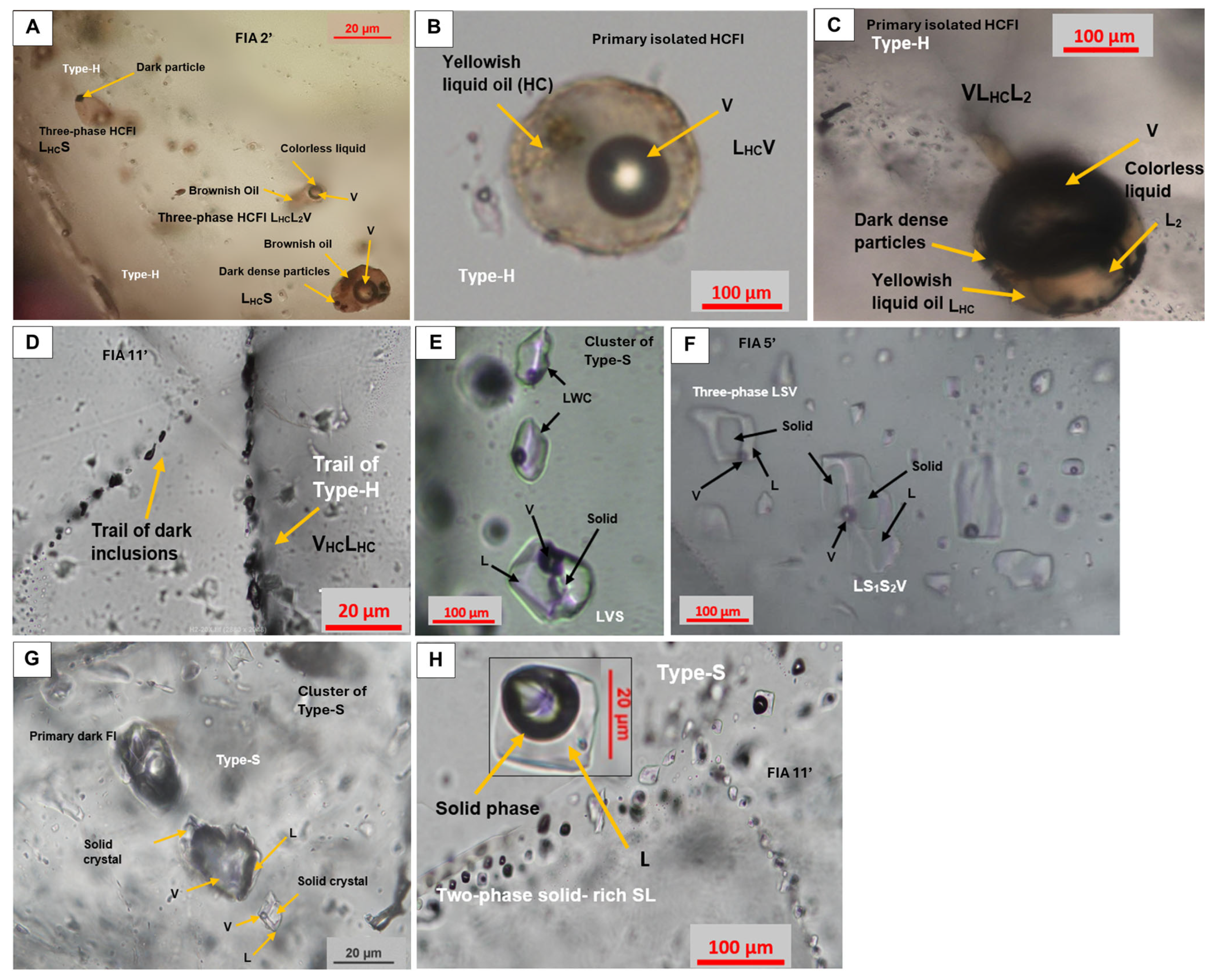 Minerals 15 00489 g009