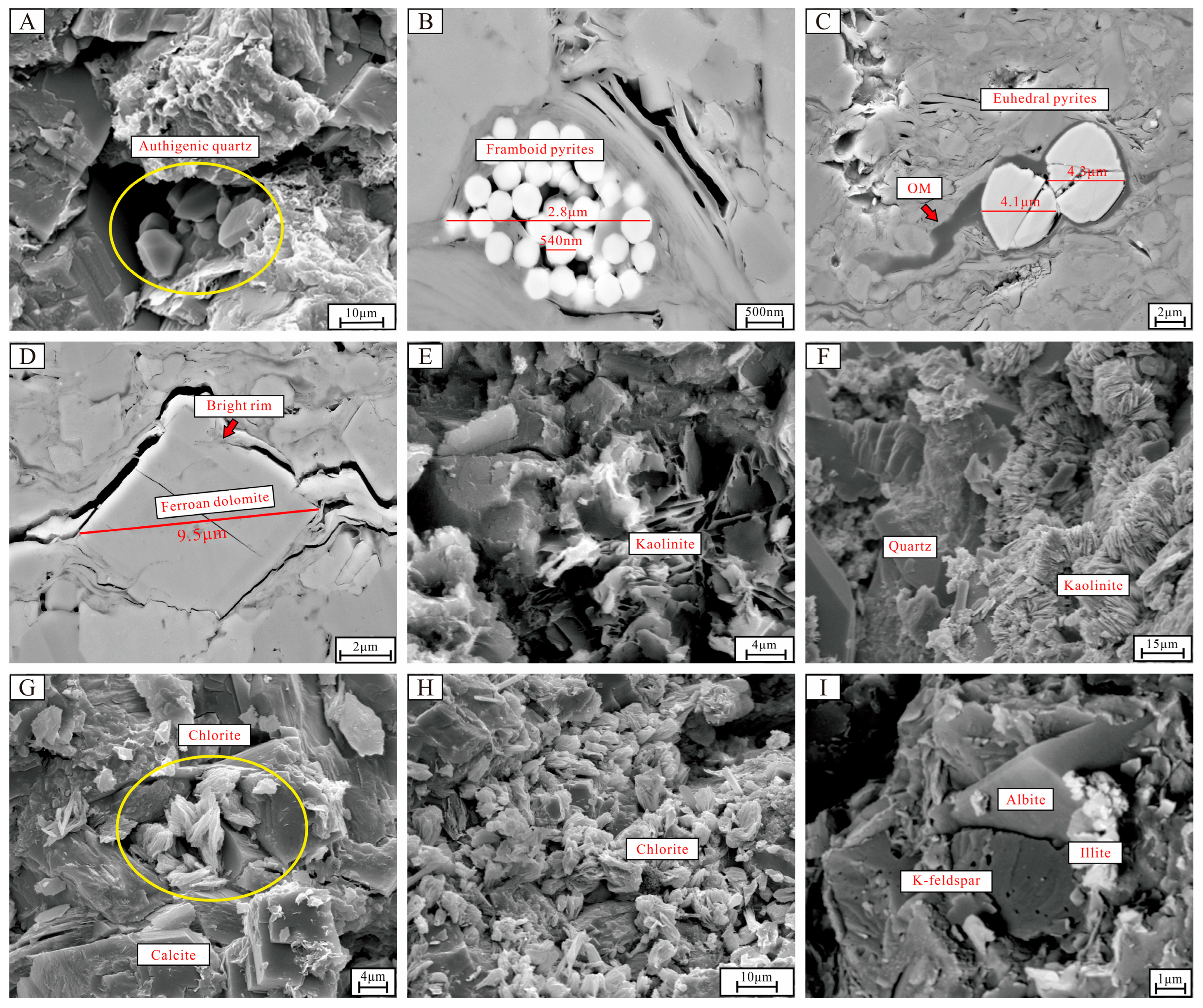 Minerals 15 00493 g004