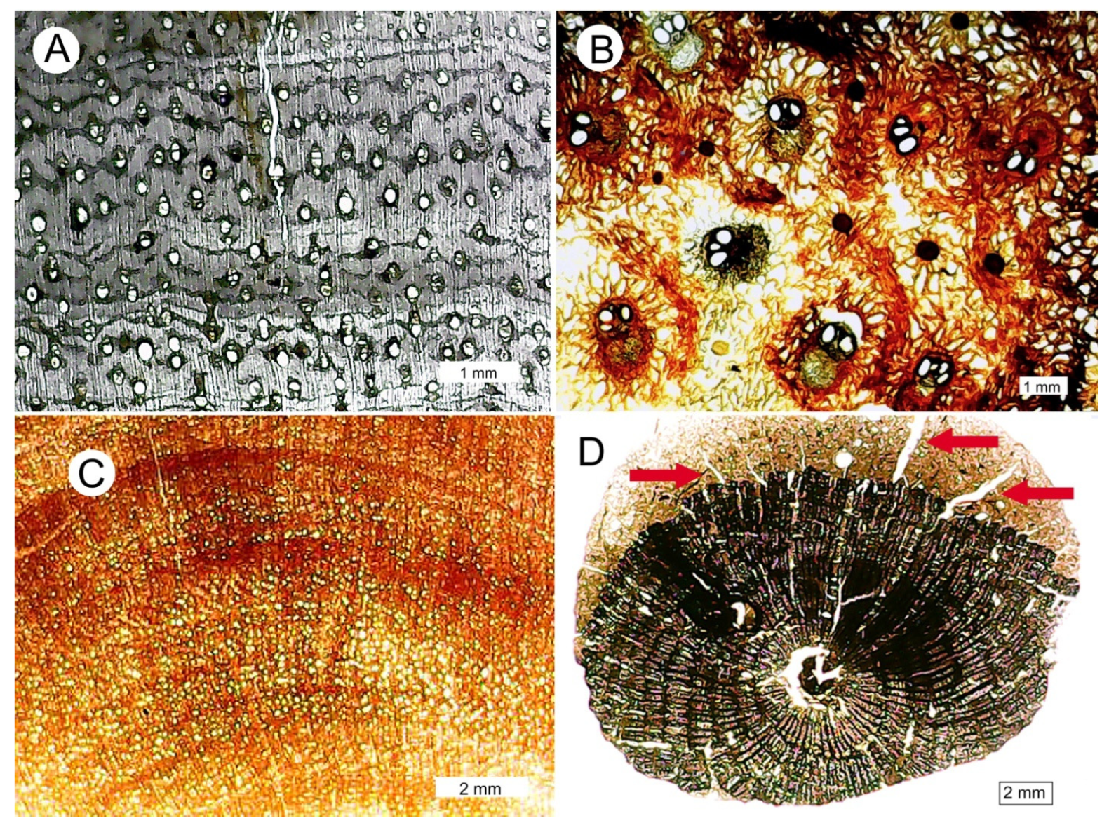 Minerals 15 00497 g008 Minerals 15 00497 g008