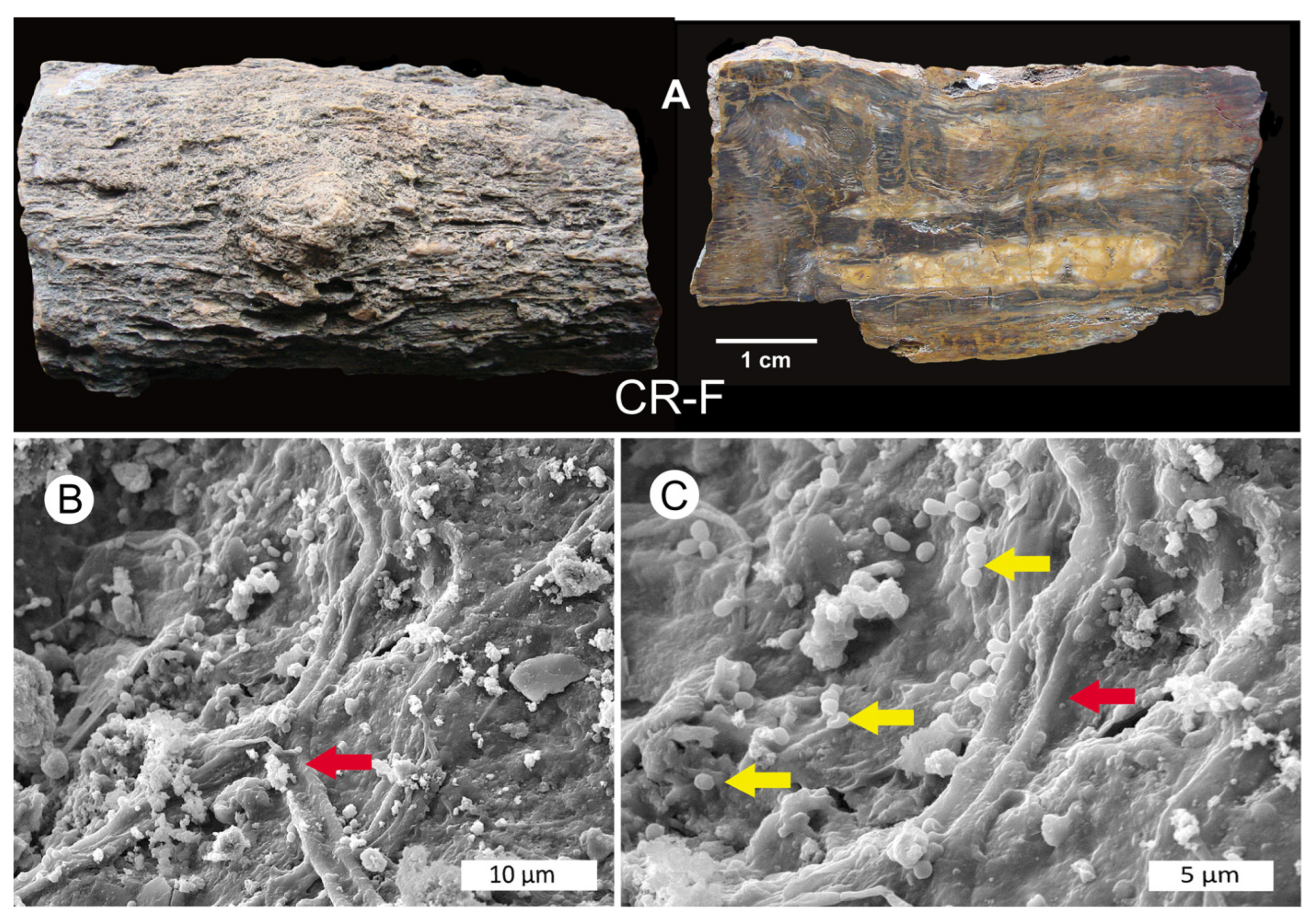 Minerals 15 00497 g009 Minerals 15 00497 g009