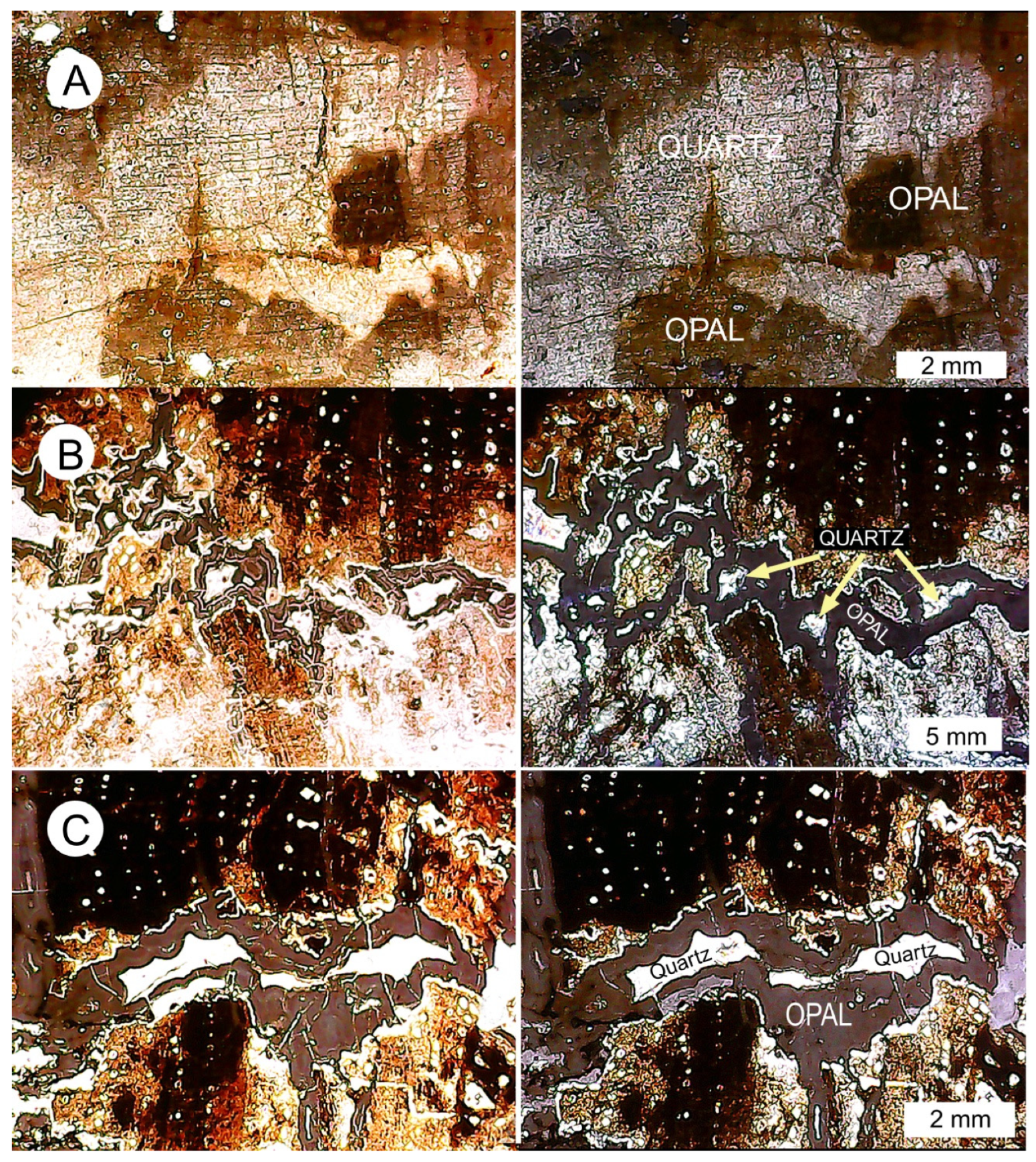 Minerals 15 00497 g017 Minerals 15 00497 g017