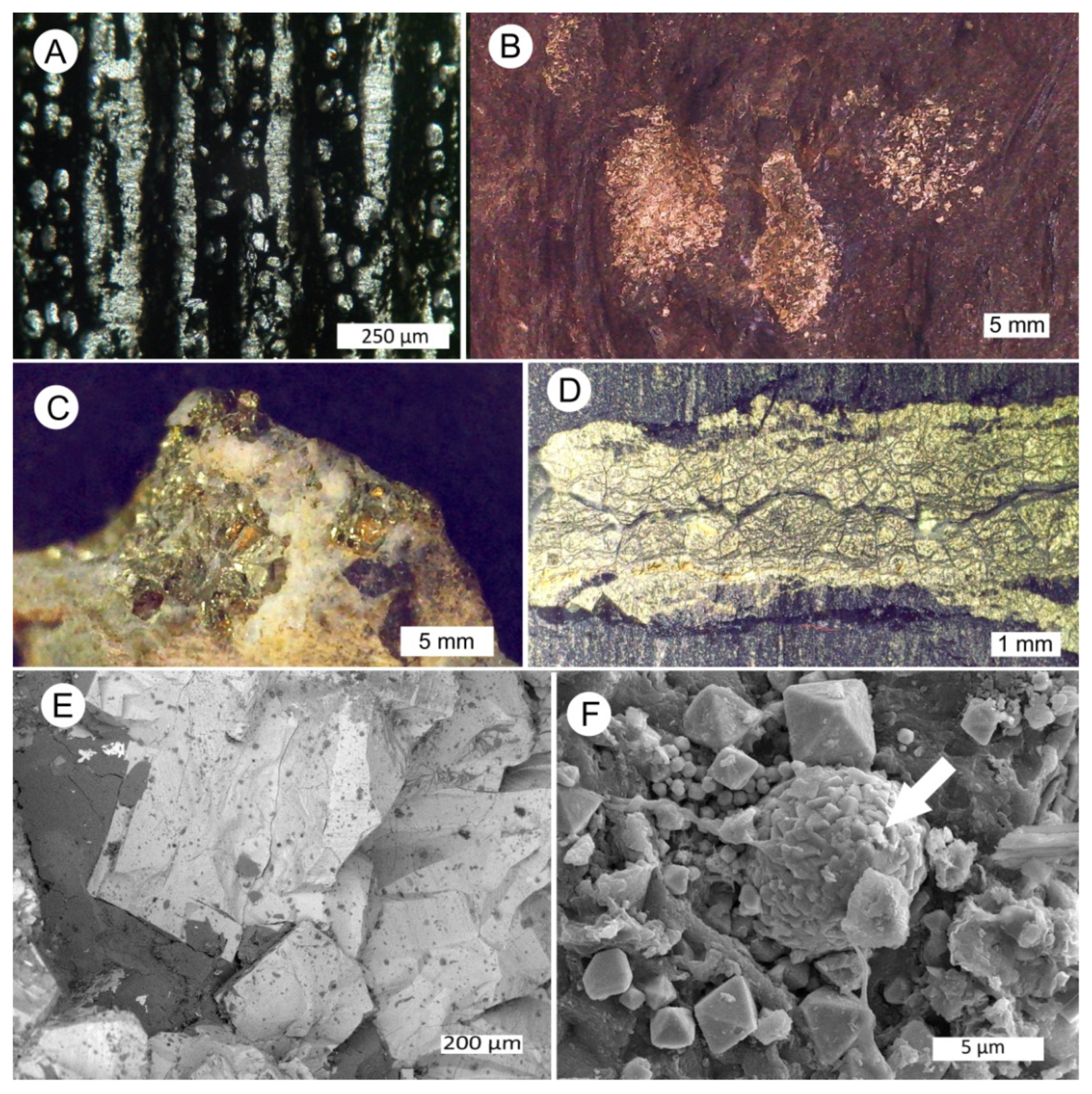 Minerals 15 00497 g021 Minerals 15 00497 g021