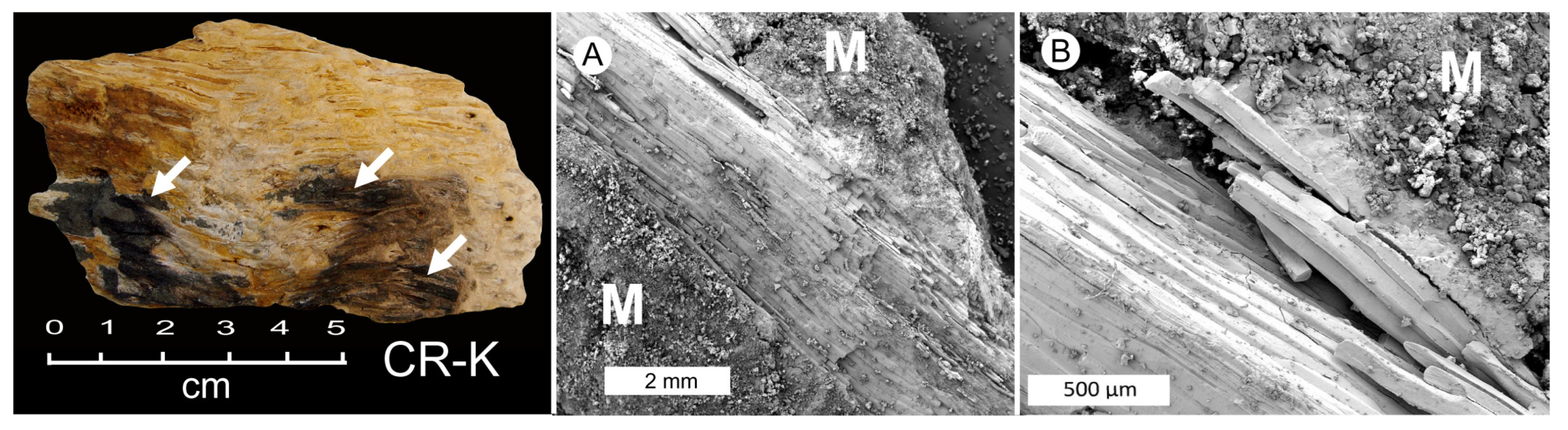 Minerals 15 00497 g022 Minerals 15 00497 g022