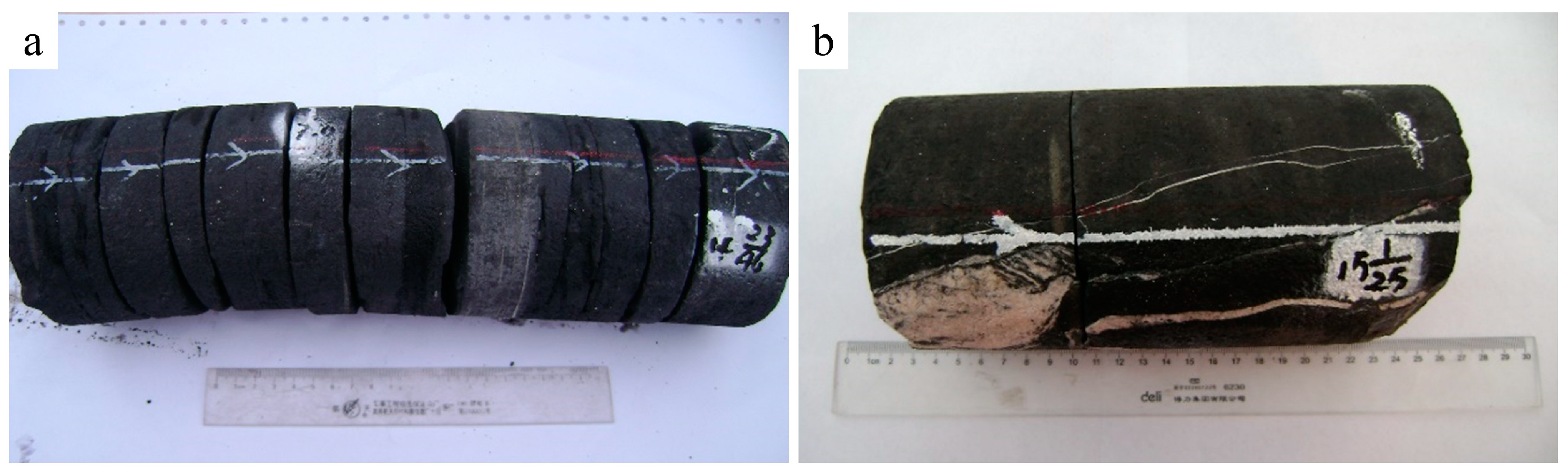 Identifying the Key Control Factors of Deep Marine Shale Gas