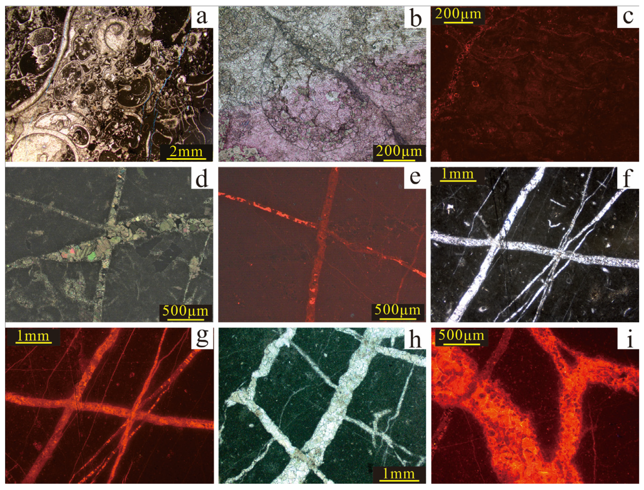 Minerals 15 00508 g002
