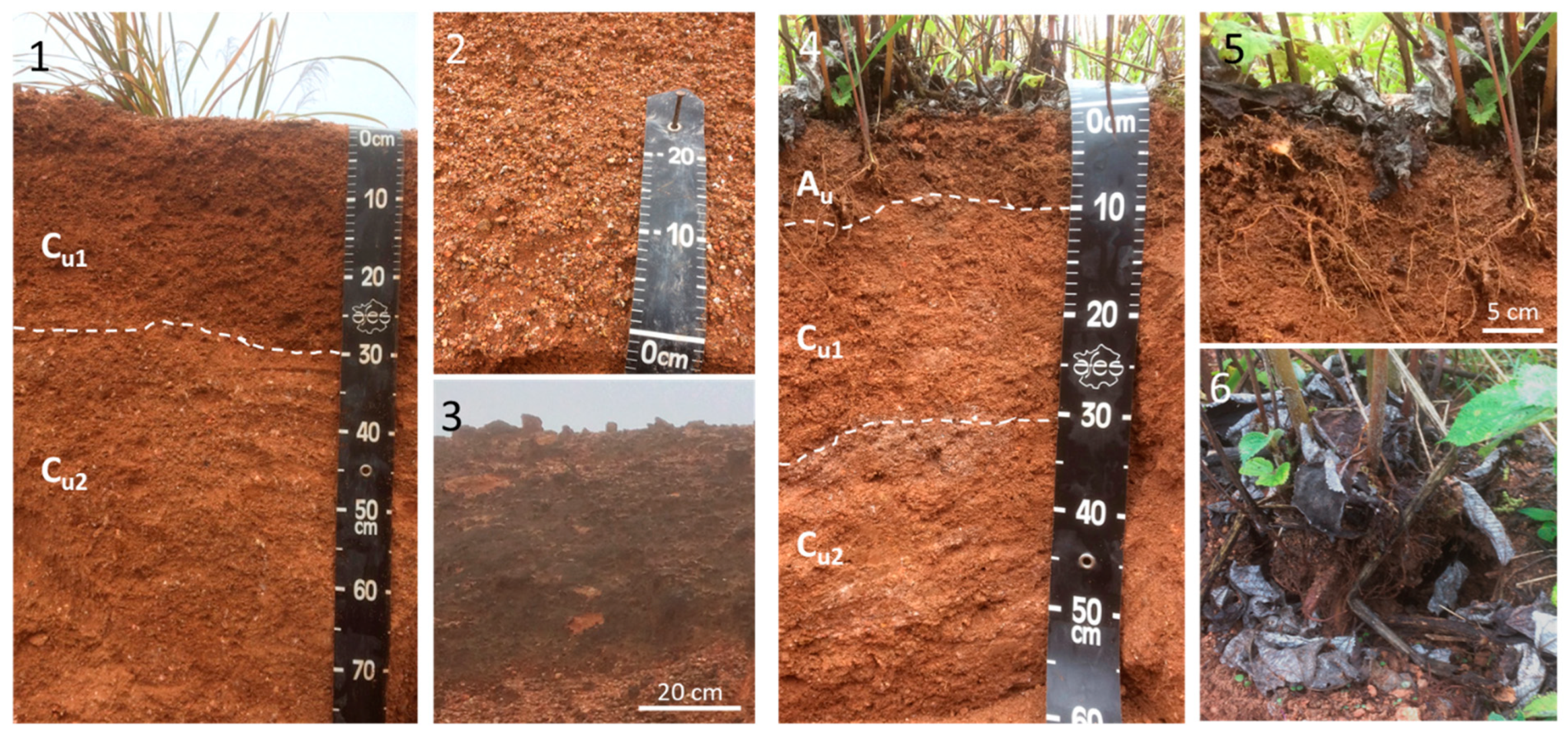 Minerals 15 00514 g002