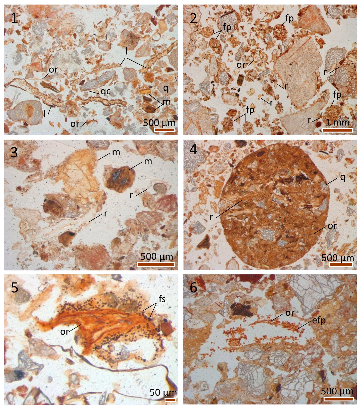 Minerals 15 00514 g007
